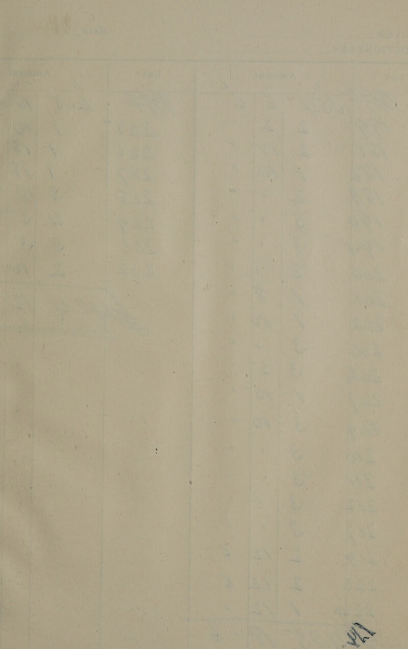      = *¢ a) ete A é ee — aon '48 \ # Pas: . 2 aN | ‘ hea We CPST Fi keeles abd I i poe Poe et ‘ ) ‘ ; i> : “ i - Ce ee Bae ae Oe ro amin A an Cee oe: ¥ r . s S st : ’ ae . : + te Te r + it, ¢, Ay x J ie $ re ‘ ’ ‘ “/ a ee ae ee wt ae » . x - - - A al a 4 >‘ a Ss A _—— pe ie gee. 