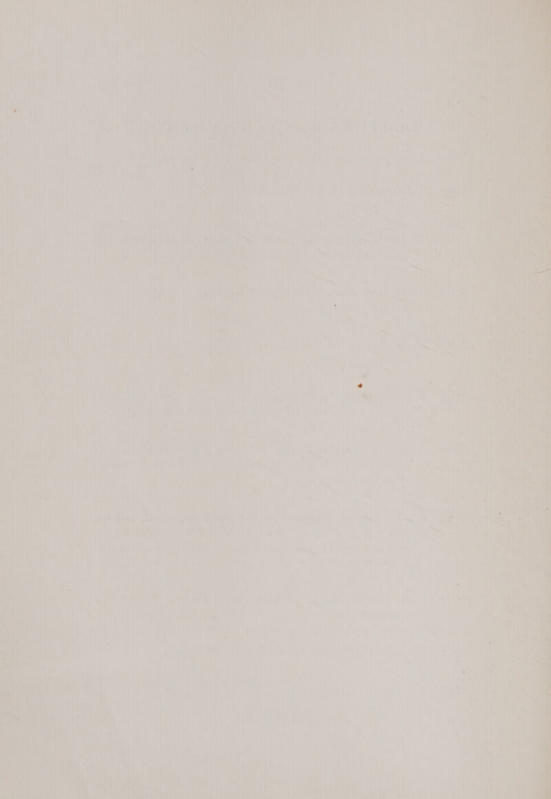 A J ® e aaa iy al ‘= f 