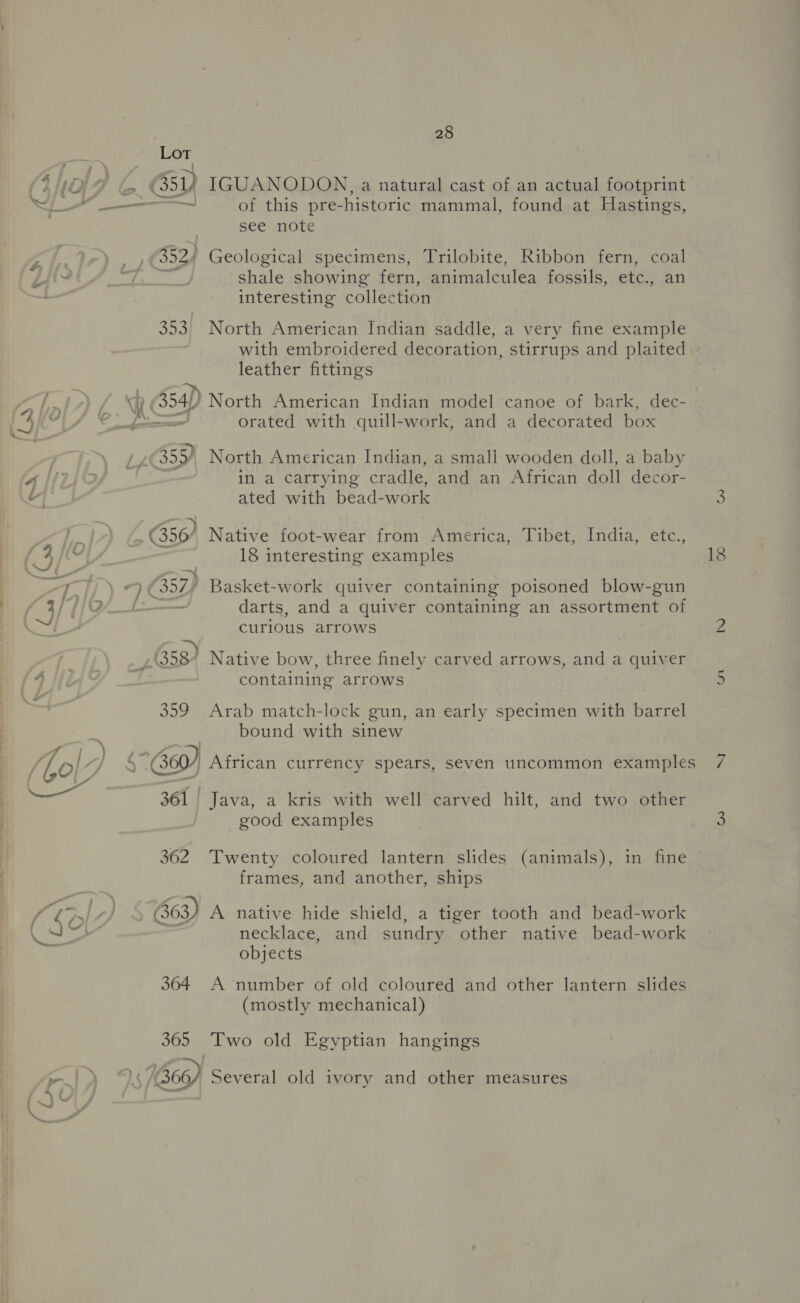 a _* 28 Lot D ; GV IGUANODON, a natural cast of an actual footprint see note (352) Geological specimens, Trilobite, Ribbon fern, coal shale showing fern, animalculea fossils, etc., an interesting collection 353, North American Indian saddle, a very fine example with embroidered decoration, stirrups and plaited leather fittings ) mm orated with quill-work, and a decorated box 53 North American Indian, a small wooden doll, a baby in a carrying cradle, and an African doll decor- ated with bead-work 356 Native foot-wear from America, Tibet, India, etc., 18 interesting examples \¢ 357) Basket-work quiver containing poisoned blow-gun . darts, and a quiver containing an assortment of curious arrows me : “es (358 Native bow, three finely carved arrows, and a quiver containing arrows 359 Arab match-lock gun, an early specimen with barrel bound with sinew WEL African currency spears, seven uncommon examples 361 | Java, a kris with well carved hilt, and two other good examples 362 Twenty coloured lantern slides (animals), in fine frames, and another, ships 663) A native hide shield, a tiger tooth and bead-work necklace, and sundry other native bead-work objects 364 A number of old coloured and other lantern slides (mostly mechanical) 365 Two old Egyptian hangings 306) Several old ivory and other measures 18