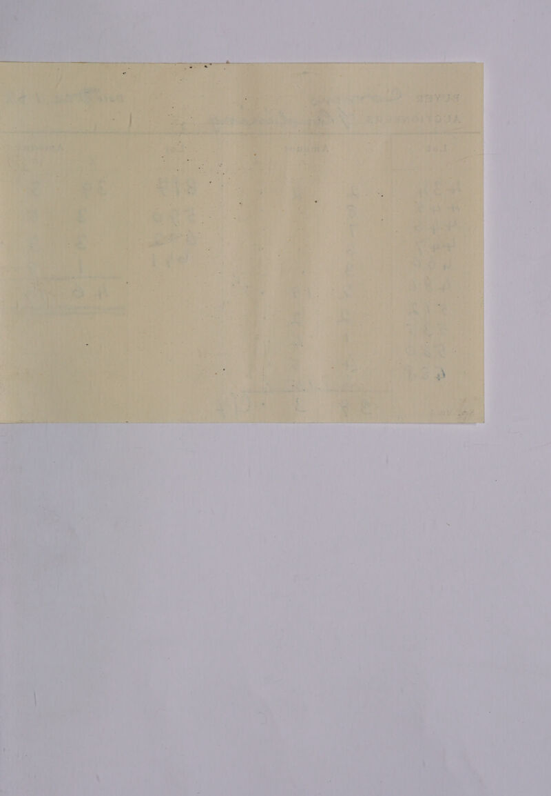   ER a hed sta were hier, s 