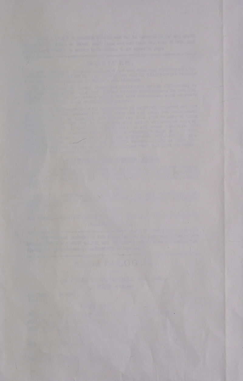            = -_~ 2 -_- = Sa ~ = -.. &amp;  a Oba O72) hema Phy Pale. o ‘viv Daw , ie a ae ee i iy HW a ORE? bee. . ‘ too vl! 59 Tx Laetitia «1 Ayesha a ay OE ENA re Sa, w“ rn E 4 : ] vl a i Aidan ms % fee. T } Ny F Las mt &lt; ul a  “07&gt;! + 7 A ga ivi 4 a MR! eet ahe y ) a : i . ~ oie AN OGRA HID Tee rite 5 | &lt;i opree Grits REN USEING 2 &gt; ~ ue Pt he “ear f- é _ {  “ Pogtes 4 “| Slo'&gt;e i Weiepeali Haale Satie) mt eg |! ! seh why te sh i in | pada ATP RF Kuri gine 7 hae rp Re Mei piyie oe MV) sent a nel | pa’) i 5 } .    nee