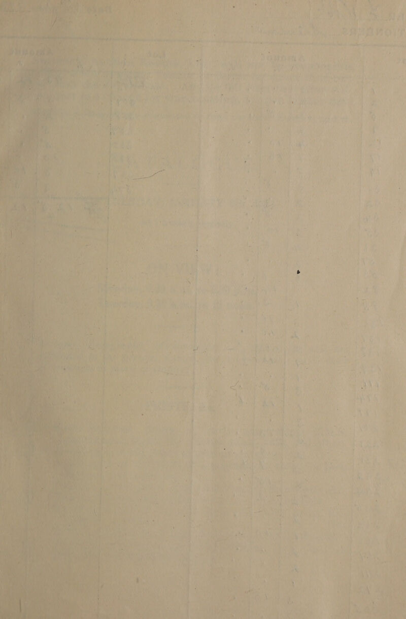     7 igh . i 7 Perrety , vas ‘ She ot Fat i             ik ‘ ey ‘ er s y 1 * ‘ . * : ROP fl eh AGU ‘ oy eee ee Si ore Y ; rt) et Wi 1 Shae Vevws i “ : aye +}, , NE 4 f fo / ae vi ards, bana Tl ~ , oc’ 4s, ee t 4 ray ih, UN Vy he . ‘ F , dR 5? AAI 7 ) ‘ } “ yt: ar i aa) 1% Ry vy % F ‘ } Fr ‘ 4 ooh 7 a4 re th t, 4 . . ox 3 7 Lj bdo 1 a } ‘ ay f i gh eh b ; ‘ + 14m i Wich h j r ' ‘ d 5 ; J , Bey, , ro te h if ~ wee ij ' . és 3 , t t Pa tt Veet C i 4 Tia® i a | , x | : ’ - yy ai ; j 7 4 ‘ > ' i ‘) { r eat 1 i?  ry + r ; i . a3 web ‘ fe ne . ju 6 ‘d as * Sh Pa, : > ml ar rs o Ty 1 ¥ f ’ ; i f I i i r ' my Seruay ety De rear Peay meee , f f \ ay en rae iy ed Py vent G i : peng i oe ; - | =n nS f . . : A < a Bar ‘ fh ; yy ' 4 , ri A te ate =e bey fay } by! Aaa ah r a ; ae ea J ay + Po : ' ja aee i } \- } f - : , ; - SMU N ‘ j ’ 4 eee ae Weak BRSeY | Y a \ v i Oe OR a 4 Z fue a + Ss ee “- hae 5 \ Bit - 7 ni Ree Aiea 4 sh KE \ AN aed i oD ee | ly k ) es oe ony bs h ; } ee 4 s ‘ any ; “ ea ’ _ : ¥ ave AS rr i tS 4 eS rt howd VEN ‘ : Vine + hale { et , Mmm oniaty tc! ne we ROY bs e's Toa | ier PO « i : reeks at ied Ue : =) cy Hy ' ae .) a ey P, >) by i a ; ih Wea 8 teas = > ea a Ay ee a ane aes ithe    fe ; My Boda iy ; ‘ “ , - rh ; b / e i : y 4 ‘ t , COT 1 ¢ : a + 5 
