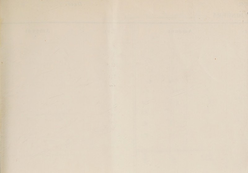 Digitized by the Internet Archive In 2021 with funding trom Wellcome Library https://archive.org/details/b3181234x