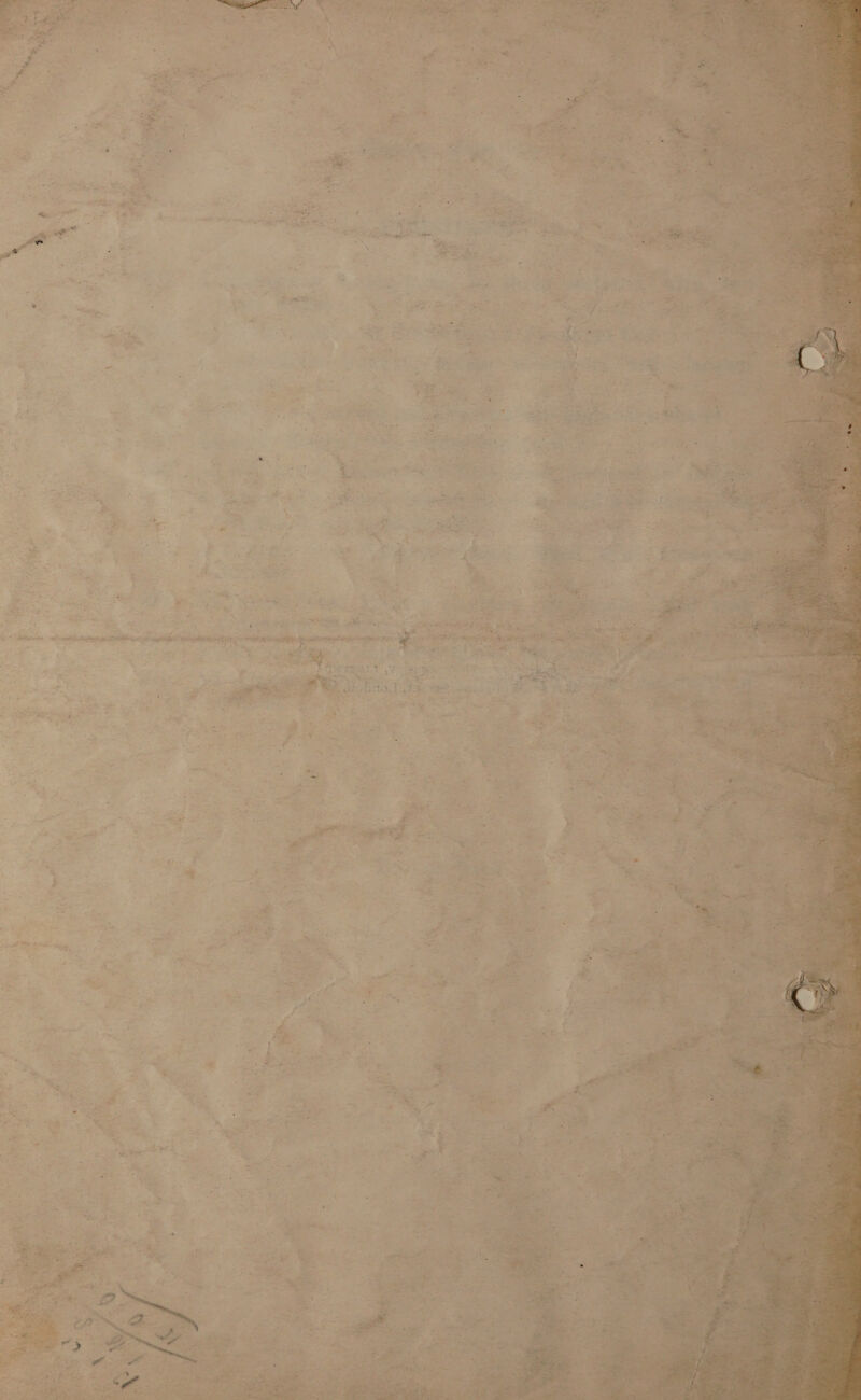           a <ihsinten Cinta pepe Breet,