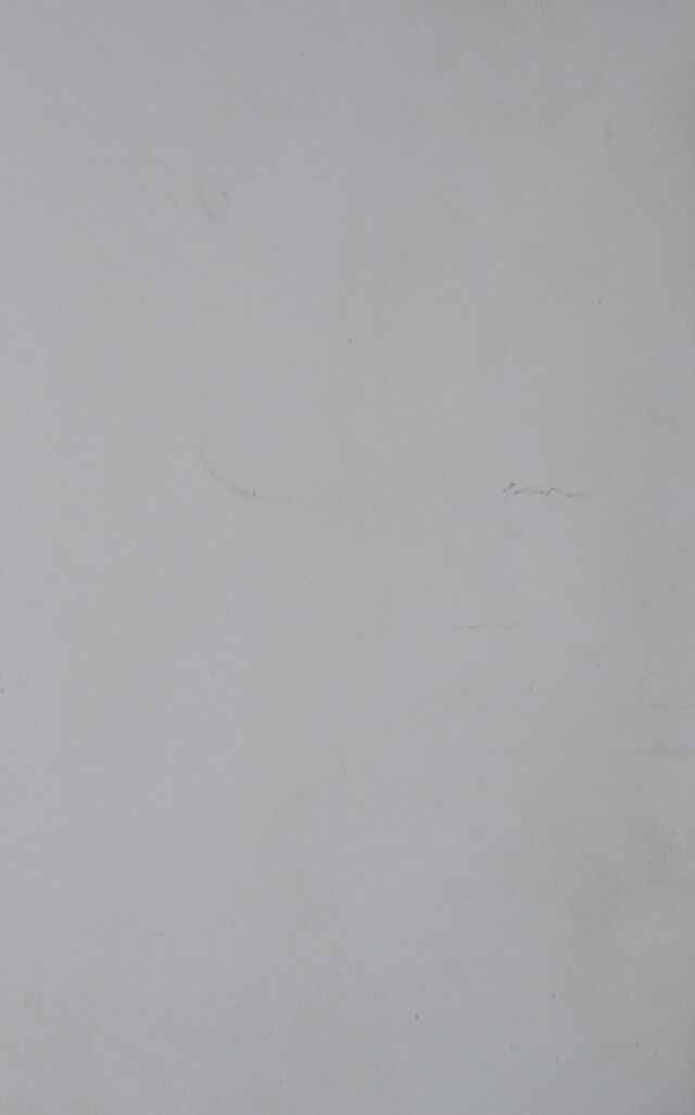 digitised image 2