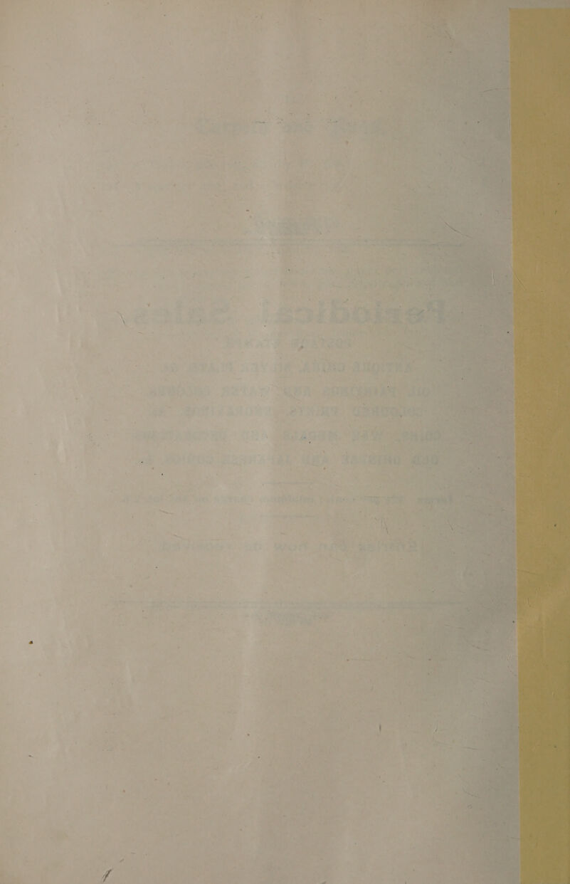  : Z ; ’ ‘ f 2 ; f ; a hy : ¥ * ( : ” s 