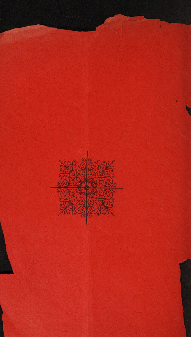 digitised image 2