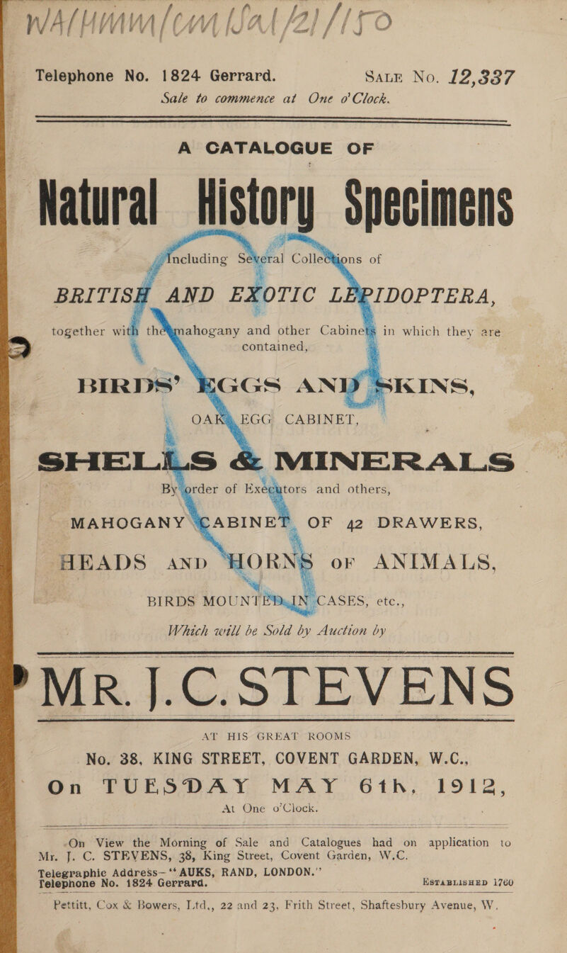 se ~ &lt;i Telephone No. 1824 Gerrard. Sane No. 12,3387 Sale to commence at One o’ Clock.   A oe OSE OF Natural a tien:         &gt; together ” th BIRDs’ ahogany a other Cabinets in which they are contained, GGS AND SKINS, s EGG CABINET, i. MIN ERALS rder of y and others, MAHOGANY CABINET. OF 42 DRAWERS, HEADS anp or ANIMALS. BIRDS MOUNT! N CASES, on   OA SHEL. _Ss By he   Which will be Sold by Auction by MR. EG. STEVENS     AT HIS GREAT ROOMS No. 38, KING STREET, COVENT GARDEN, W.C., On TUESDAY MAY. 61h, 1912, At One o’Clock.   On View the i Moniihg of Sale and CC analbogaias had on eae ph enien to Mr. J. C. STEVENS, 38, King Street, Cortat Garden, W.C. Telegraphic Address— ‘‘ AUKS, RAND, LONDON.’ Telephone No. 1824 Gerrard. Esta BLisHED 1760  Pettitt, Cox &amp; Bowers, Ltd,, 22 and 23 | Frith Siva. ‘Shafeshuay Avenue, W. 