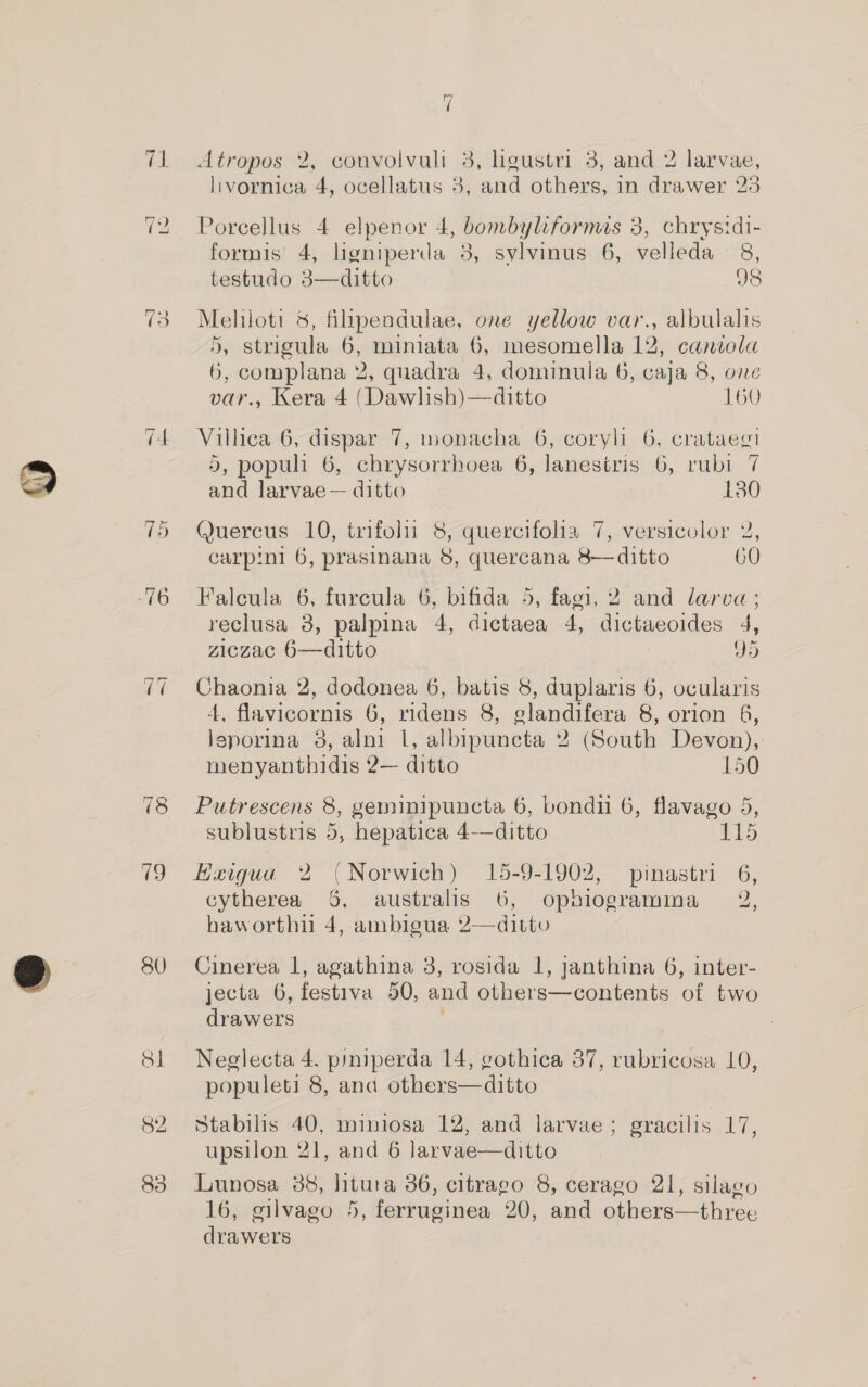 ~ Lo ~] Ge a —~] 18 8U Sl 82 83 7 Atropos 2, convolvuli 3, ligustri 3, and 2 larvae, livornica 4, ocellatus 3, and others, in drawer 23 Poreellus 4 elpenor 4, bombyliformis 3, chrysidi- formis 4, ligniperda 3, sylvinus 6, velleda 8, testudo 3—ditto 98 Melhloti 8, filypendulae, one yellow var., albulalis 5, strigula 6, miniata 6, mesomella 12, caniola 6, complana 2, quadra 4, dominula 6, caja 8, one var., Kera 4 (Dawlish)—ditto 160 Villica 6, dispar 7, monacha 6, coryli 6, crataegi 5, populi 6, chrysorrhoea 6, lanesiris 6, rubi 7 and larvae— ditto 130 Quercus 10, trifolii 8, quercifolia 7, versicolor 2, carp:ni 6, prasinana 8, quercana 8—ditto 60 Falcula 6, furcula 6, bifida 5, fagi, 2 and larva; reclusa 3, palpina 4, dictaea 4, dictaeoides 4, ziczac 6—ditto 95 Chaonia 2, dodonea 6, batis 8, duplaris 6, ocularis 4, flavicornis 6, ridens 8, glandifera 8, orion 6, leporina 3, alni 1, albipuncta 2 (South Devon), menyanthidis 2— ditto 150 Putrescens 8, geminipuncta 6, bondi 6, flavago 5, sublustris 5, hepatica 4-—ditto 115 Hxeigua 2 (Norwich) 15-9-1902, pinastri 6, cytherea 5, australis 6, ophiogramma 2, haworthiu 4, ambigua 2—ditto Cinerea 1, agathina 3, rosida 1, janthina 6, inter- jecta 6, festiva 50, and others—contents of two drawers Neglecta 4. piniperda 14, gothica 37, rubricosa 10, populeti 8, ana others—ditto Stabilis 40, miniosa 12, and larvae; gracilis 17, upsilon 21, and 6 larvae—ditto Lunosa 88, litura 36, citrago 8, cerago 21, silago 16, gilvago 5, ferruginea 20, and others—three drawers