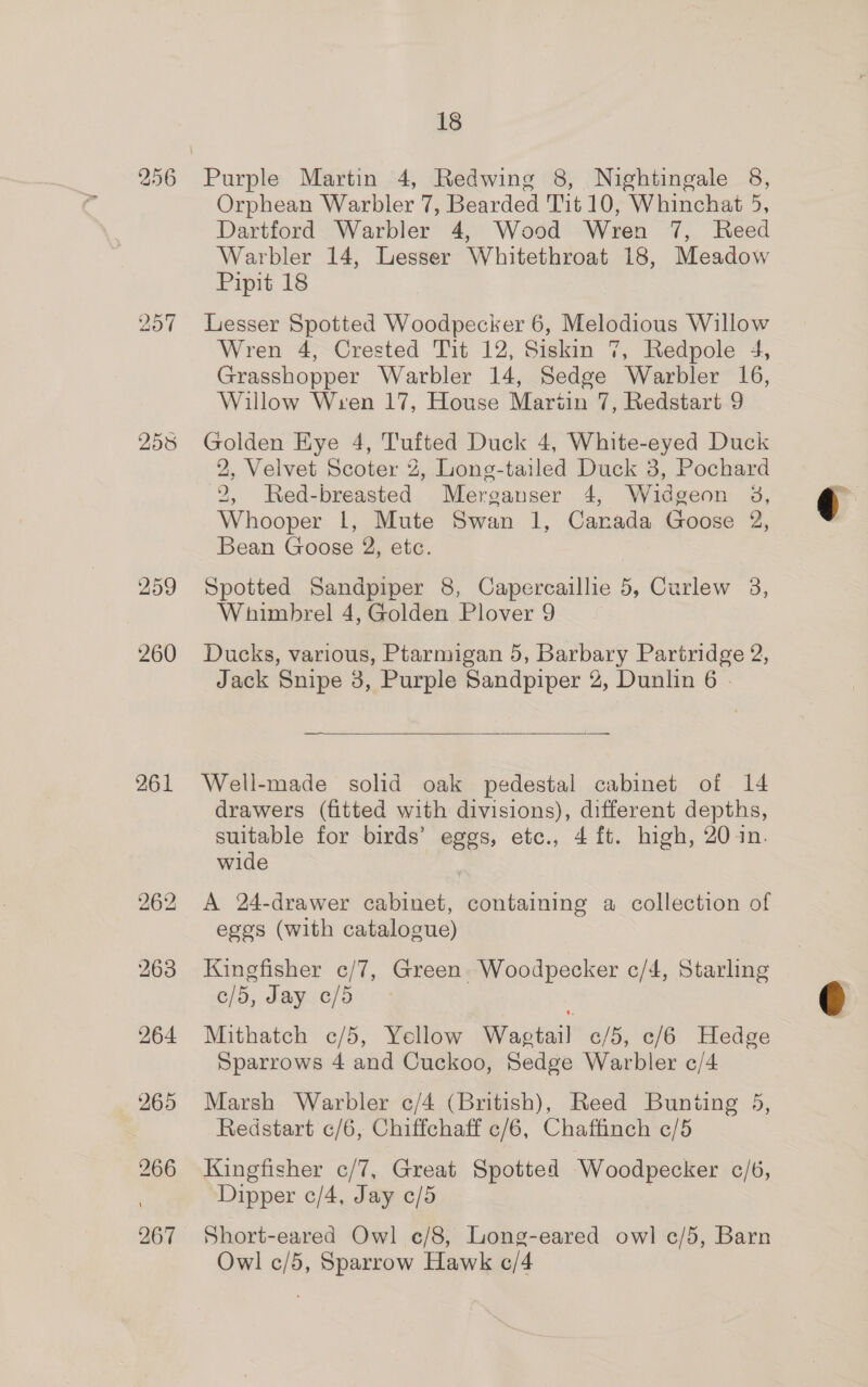 259 260 261 265 266 267 18 Orphean Warbler 7, Bearded Tit 10, Whinchat 5, Dartford Warbler 4, Wood Wren 7, Reed Warbler 14, Lesser Whitethroat 18, Meadow Pipit 18 Lesser Spotted Woodpecker 6, Melodious Willow Wren 4, Crested Tit 12, Siskin 7, Redpole 4, Grasshopper Warbler 14, Sedge Warbler 16, Willow Wren 17, House Martin 7, Redstart 9 Golden Eye 4, Tufted Duck 4, White-eyed Duck 2, Velvet Scoter 2, Long-tailed Duck 3, Pochard 2, Red-breasted Merganser 4, Widgeon 3, Whooper |, Mute Swan 1, Canada Goose 2, Bean Goose 2, etc. Spotted Sandpiper 8, Capercaillie 5, Curlew 3, Wahimbrel 4, Golden Plover 9 Ducks, various, Ptarmigan 5, Barbary Partridge 2,  Well-made solid oak pedestal cabinet of 14 drawers (fitted with divisions), different depths, suitable for birds’ eggs, etc., 4 ft. high, 20 in. wide A 24-drawer cabinet, containing a collection of egos (with catalogue) Kingfisher c/7, Green. Woodpecker c/4, Starling c/5, Jay o/5 Mithatch c/5, Yellow Wagtail e¢/5, c/6 Hedge Sparrows 4 and Cuckoo, Sedge Warbler ¢/4 Marsh Warbler c/4 (British), Reed Bunting 5, Redstart ¢/6, Chiffchaff c/6, Chaffinch ¢/5 Kingfisher c/7, Great Spotted Woodpecker c/6, Dipper c/4, Jay ¢/5 Short-eared Owl e¢/8, Long-eared owl c/5, Barn Owl c/5, Sparrow Hawk c/4 