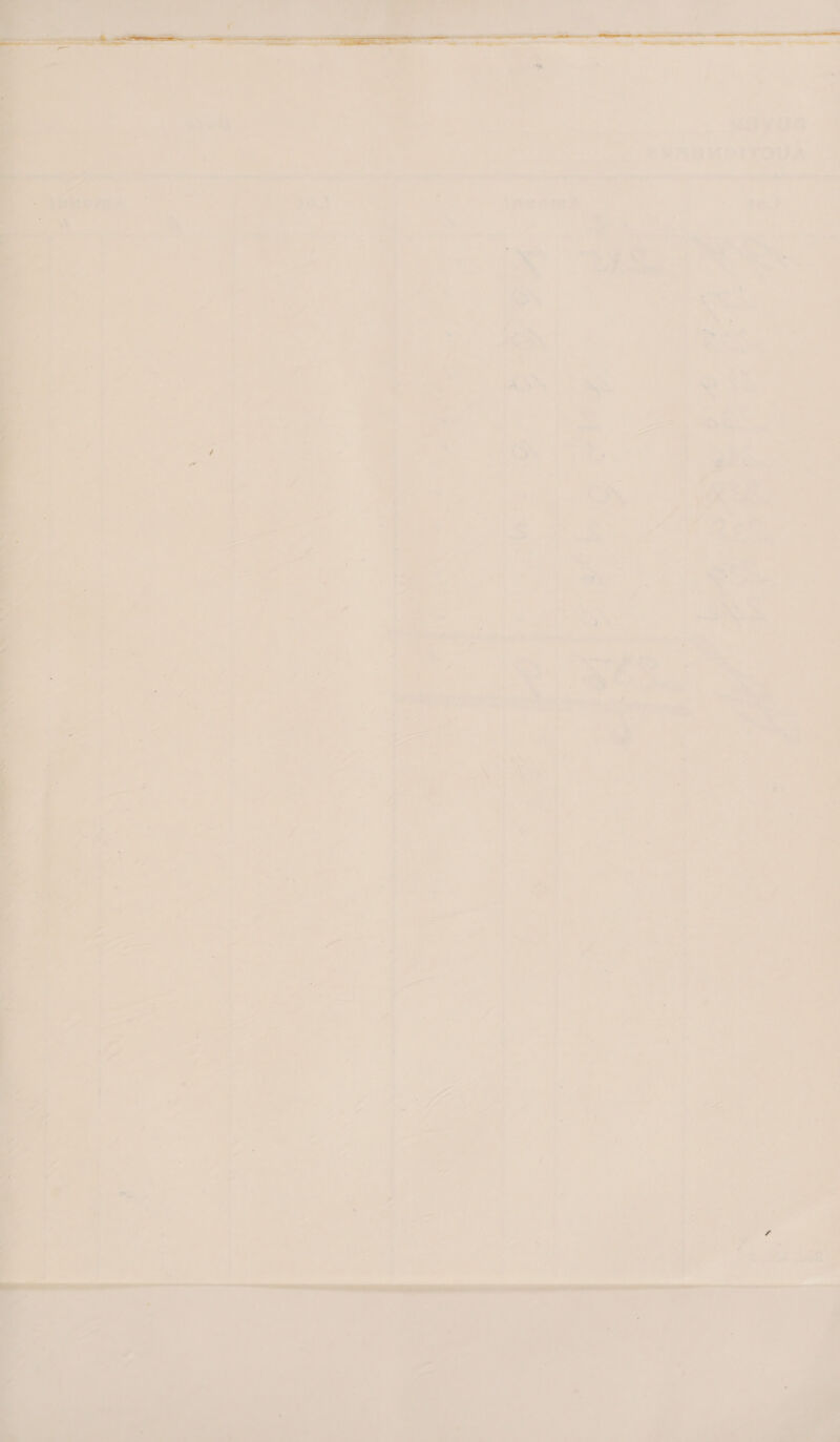 =!      ‘a e ‘ : “ i ee ee St eg gy Sey i a ee 0d a Sel elieetineenetieeemmanattin insta teins aati tennant  = = “Ks sal sm, =~ str p—agep ee = ae pete Peps Benge “he $o. “ra — ieee SR pean cg gia. Se ee | Per Pe . ~ - «&lt; 4 7 ae 7 pe : . 4 He ~ oe : * . 5 cs ; +  a #&gt;. 1 : i . a a , ' \ — RE SE VEN i  Nik ae NX . ‘ ~ a me es * . a ae on  war 5S *G os oR. oe Lig