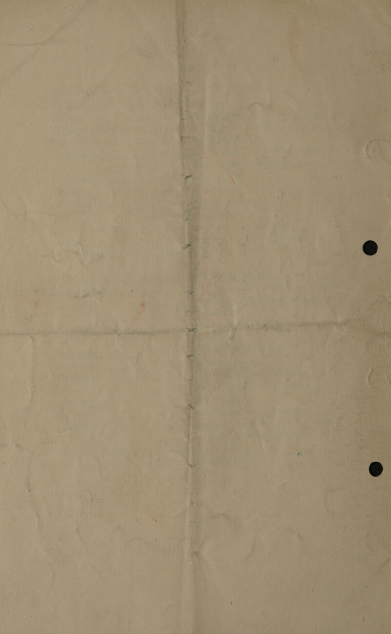  ‘ is } meat pi atone we . r iw > ‘ ‘ 4 j ' ie RS . } 5 y 4 ‘ a ; Fs j ’ , d ‘ ‘ + = 4 ~ : ui ¢ ; t ‘ ’ ' 3 4 . 7 Jf 3 ( , \ ; ‘4 J : os \ Y _ a sf ' ih a oy - oo. tee he Aa af, ee RP IE on aE  po Bee |S re os ss y   AS f A ? ¢ ’ r Ree be * ¥ é¥ ¥! 5 si ‘ “ 14 , pu ’ A, rt | ; 7 . \r ‘ , Y h ws us x! ‘, : ‘ a . ‘ ‘ 3 } . . % d ‘ eo 7 ’ ‘ Ny . fi ’ nhs ‘ q be . fh, 7 te 3 y Fi 4 i ‘ ; ie ated 2! 3 ene et ha oat es j pita wr t de } i ;  big Eri a §  ve f 1 4 9 ; , 4 > i ‘ , é , ’ a ; ° 1 Y ; 4 3 if + 4 “, ; -s . , iy . , va 1 v : ’ ‘ ‘ e. ; ‘> , y, g * he r J oY 4 ‘“ ‘ (adh he ENE, IER Ae NIV TE Why 4 ; eat nf a t - “Y na : Yale J t ; * ; 7 2 mt ¥ ‘ P uw ri 1 , . ‘ ‘ *. Vy By f L ” at a, cm ‘ ; 1 ‘ i P ' ‘ a 