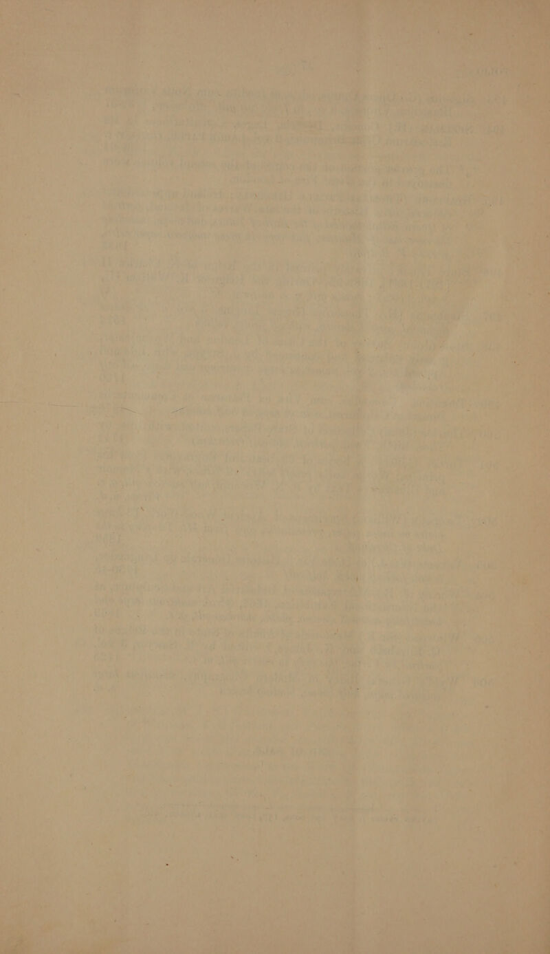       &amp;§ P ; . 7 bs ‘ 3 a . Aa. rs a2 s as ai a * S % 4 f iwi)? , . a ae. ee bal Li vis by 13 i Pee es i ‘ * i 4 nat iw ‘i ; bel ky 4 a a 4 ; yy) , at ie - a a . ee fi iad : ® 4 5 \ *&lt;* ae | Y ear ; ’ - a 0 - -y : a  ' Was we | 4 Peg bb | ) {e : L ; ’ F wy wy . Py? . ‘ , » oy6 * Ss ‘J . Ties: ‘ ’ &lt;i ey ‘ ’ — 4 jna fe -O)ee VE : ¢ ya? ’ ' * P 1 Very ALY L ty + ' ; iy Uti . al Y ‘ &gt; r Tra ti iy Be ft. e ° ’ t ’ ' «s ces ‘ tk o . ,t ©) ‘ t ath 44) ql r ‘ 4 ‘ . = . a y ‘I , %   Bie ye) Blan rs may ee c=. ‘% i. rts eat rs i  wie, eS, bt ®: ist i fuegiaadhin, A Ba tel 7, PR PLEN f            Ties mits a, mo PE} :5       ry aapeny Telecel , a Ee | ¥ fe 2 ae oe t le a? Ad ~ r a4 ; + ne wi ae ir aes “ mT , 7 ‘. K j t 4 te hg eid ’ 7! 4 \ = . 4 rT ORNS or area Oe Aa th nao hs .       ' i if ya ruin ; i f , fr! ey pe ier) } : ‘? - in| i 1 AE ‘ j pa his a . + Ty. , a ‘ j oy} ' ‘ tnt pad it {ped rs . or u Ma Pnb N 7) ry { i i i ¥ .* st? ; r 4 ; y oe | ~ So Py . if t Lease 4 iA ’ — ae aby 4 ‘ ‘ ae badd . a ju: : , Set eer ae an 7 rf : . ' ' yi : WT aE ie ae , s 4 ; ie rai 4. ’ Le . F , 5 * ' ; : ‘ wha mercy! 4 ah . a , + bf r j t BY pa? ead 7 ¢ es Waris ere fale i ) Hi eT, Ls ‘ J 4 eae i? hi ee? a * &lt;3 we oi ‘i ah iy ay er he 4 ’ ” 4 . ‘Ay ay f ah ry De? Tae ' ‘l/s t + 4 J % * ei rived ; . Z bb at] . | ' , fia ot 1 _ 1, us if ’ a ' 7 i J “Ad \ \ . : . { “ ; Mae: 134 Det. Aa 4 ; ch ; ei n [ * ? Le ole y : i Tt \ ‘ » Ty he ek : % : » + , i+ i : Fae j sida y ey. ; i i af) ‘' é | | agit ad ‘ re -  7 Codi - apie Dae j iva « 2 ; 4 é ay ; y ay ay Ak P “7, re? ay { beg t) ‘ins pers ‘ . ' i! a4 i ‘,? a od &lt;s - 4 oe Pe dy ts N ‘ ‘ hay Yio kt Ae a NG ; uy é, ' fs ery” ;? 7 | eet 4 PATE ives Bit a © tag  + F f oF 7 eb ; f ’ ‘aah Cleese : q » MARE TO AS,      a.