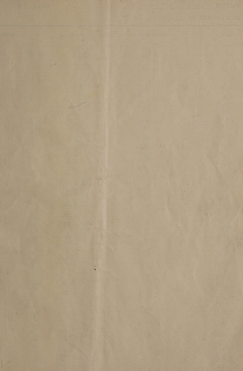  — “ 4 7 ‘ a) a pas tae? ty bs co Lek §, 1? . ws ' d er a - mat j Aa ’ =, 2 - , ,? « +  ; ~ oe ; f ; es: 4 = . S : ~< a’ t 4 mee tas ‘ . . te ™ i oe * > %  ol 