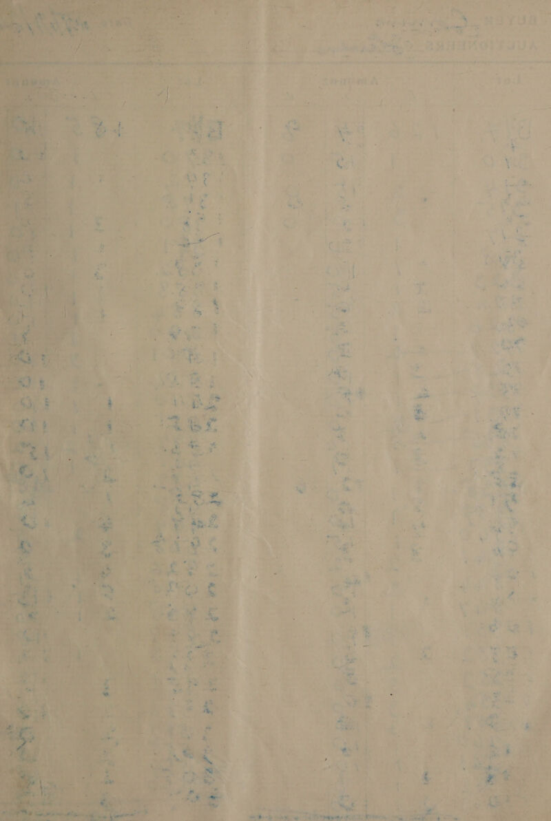        a hd K ‘ es, aoe: it + 268 + . a St < sn Lae ; in alte ee ae Lie ie iy (ane rte ee é : = ae ee f ws ltt OES eae oes SE . y Ve” * oat <\t ? >  ui Se MDE eh ny eg int ig oe ht 7 i ke ftom Ppalts Fol SH Hay tee Pa ; 4 - te _ a ’ wr apie eaenigih PRRs ep Eee nite RR toe ete emma a Ny = ca pe — a a i vile + sf » » » e ‘ae ‘ ‘ ’ SIA : ey ] ro +? 5 ‘ . 7 sn ¢ j oa . . :    a 28° ny ~~ a ee te vir > * 