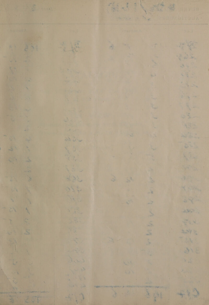    I vena rh ‘se ef  ; 4 yr, lana : 7 i» | GAD o ‘a 7 ’ % - ; - earte- le mene +: ill ro \F if  ere: ad Sar Ot ff      i - ‘ 7 2 « vr. y