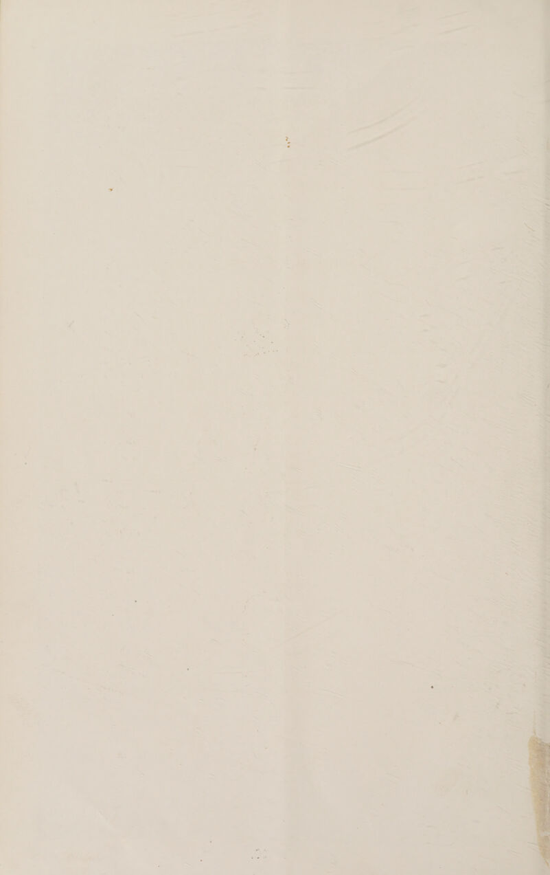 ~ 23f)    ae af fi 7 he Pa ot: 7 - <. — oP - = > =