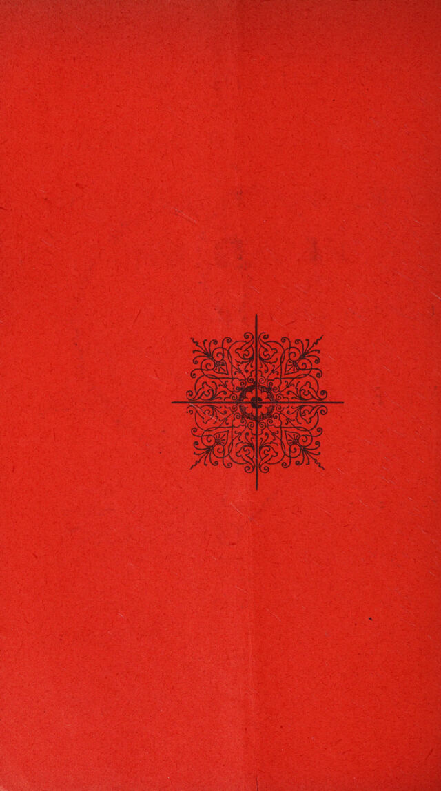 digitised image 2