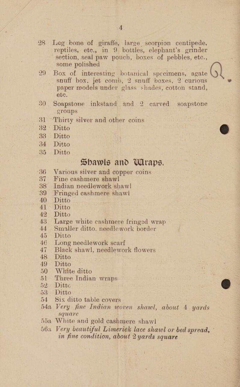 28 Leg bone of giraffe, large scorpion centipede, reptiles, etc., in 9 bottles, elephant’s grinder section, seal paw pouch, boxes of pebbles, etc., some polished 29 Box of interesting botanical specimens, agate snuff box, jet comb, 2 snuff boxes, 2 curious paper models under elass shades, cotton stand, etc. 20 Soapstone inkstand and 2 carved soapstone croups 31 Thirty silver and other coins 32 Ditto 33 Ditto 34 Ditto 35 Ditto Sbawls and Uraps. ‘36 Various silver and copper coins 37 Fine cashmere shawl 388 Indian needlework shawl 39 =Fringed cashmere shawl 40 Ditto 41 Ditto 42° Ditto 43 Large white cashmere fringed wrap 44 Smaller ditto, needlework border 45 Ditto 46 Long needlework scarf 47 Black shawl, needlework flowers 48 Ditto 49 Ditto 50 White ditto 51 Three Indian wraps 52. ‘Ditte 53° Ditto 54 Six ditto table covers 54a Very fine Indian woven shawl, about 4 yards square 55a White and gold cashmere shaw! 56a Very beautiful Limerick lace shawl or bed spr er im fine condition, about 2 yards square '