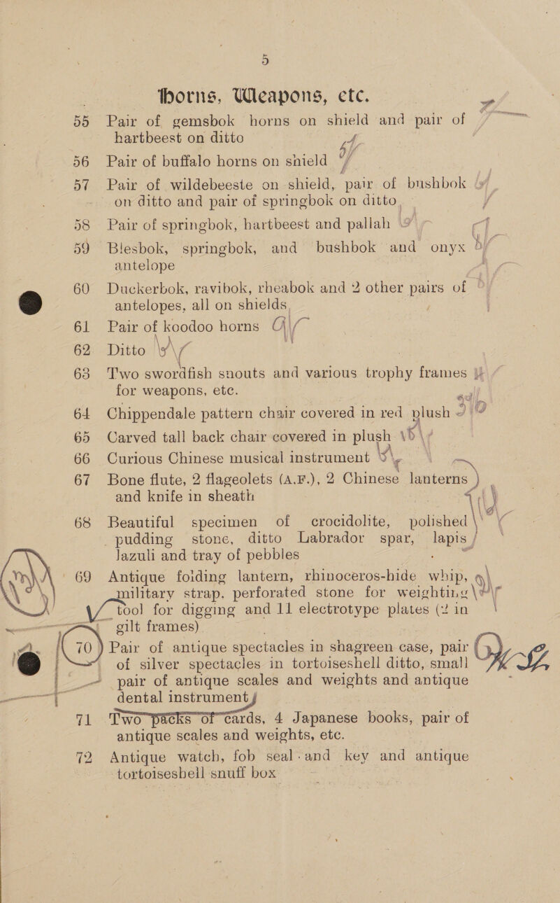 horns, Weapons, ete. 55 Pair of gemsbok horns on shield and paf hartbeest on ditto 4, | ye 56 Pair of buffalo horns on snield 4  57 Pair of wildebeeste on shield, pair of bushbok - on ditto and pair of springbok on ditto, | Pair of springbok, hartbeest and pallah 4] &gt; 59 Blesbok, springbok, and bushbok and onyx by antelope antelopes, all on shields, 61 Pair of koodoo horns Gy \/ 62: &lt; Ditto \A7 63 Two swordfish snouts and various trophy frames |! for weapons, etc. *% 60 Duckerbok, ravibok, rheabok and 2 other pairs of ' | 64 Chippendale pattern chair covered in red plush 31 (2 65 Carved tall back chair covered in plush: WB, | 66 Curious Chinese musical instrument se ~ 67 Bone flute, 2 flageolets (A.F.), 2 wuhides eee and knife in sheath | ) 68 Beautiful specimen of crocidolite, polished \' af pudding stone, ditto Labrador = spar, | lazulcand tray of pebbles 2 ae 1 69 Antique foiding lantern, rhinoceros-hide whip, \ military strap. perforated stone for weighting \Y\y too for digging and 11 electrotype plates (2 in | —— - gilt frames) é | . ae of antique spectacles i in shagreen case, pair { 4} : of silver spectacles in tortoiseshell ditto, smal] | pair of antique scales and Pept and antique a a i dental instrument 71 Two picks” of cards, 4 Japancee books, pair of antique scales and weights, etc. 72 Antique watch, fob seal and key and antique nuosesney snuff box  