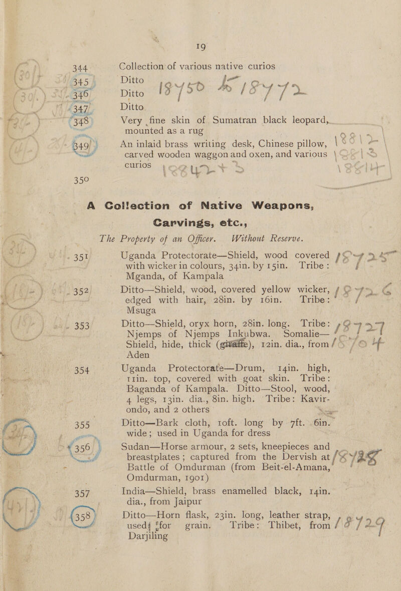 ea 344 (348 GR 35° Collection of various native curios t es pito (9750 IS 772 Ditto. Very ,fine skin of Sumatran black leopard, mounted as a rug | An inlaid brass writing desk, Chinese pillow, \40.\ 2 curlos » } gr . 2. m \ =; d } % . 351 - 30% B54 355 TDieeiaeee r. if 357 (358 ) Carvings, etc., Uganda Protectorate—Shield, wood covered IST  with wicker in colours, 34in. by 15in. Tribe: © ~ / | Mganda, of Kampala — Ditto—Shield, wood, covered yellow wicker, ¢ O ~f-y__ edged with hair, 28in. by 16in. Tribe: [* Msuga | Ditto—Shield, oryx horn, 28in. long. ‘Tribe: / Qa a Njemps of Njemps Inkuybwa. Somalie—/— j ~~ Shield, hide, thick (gifaffe), 12in. dia., from /s /O Lf Aden 3 Uganda Protectorate—Drum, 14in. high, Baganda of Kampala. Ditto—Stool, wood, 4 legs,:13mn. dia., Sin. high: ‘Tribe: Kavir- ondo, and 2 others ° ee ai Ditto—Bark cloth, t1oft. long by 7ft. .6in.— wide; used in Uganda for dress | Sudan—Horse armour, 2 sets, kneepieces and . _ , breastplates ; captured from the Dervish at / SYBK Battle of Omdurman (from Beit-el-Amana,) ‘ ~ Omdurman, Igor) dia., from Jaipur Ditto—Horn flask, 23in. long, leather strap, LYa fc used4 ffor grain, Tribe; Thibet, from 18 / +) Darjiling