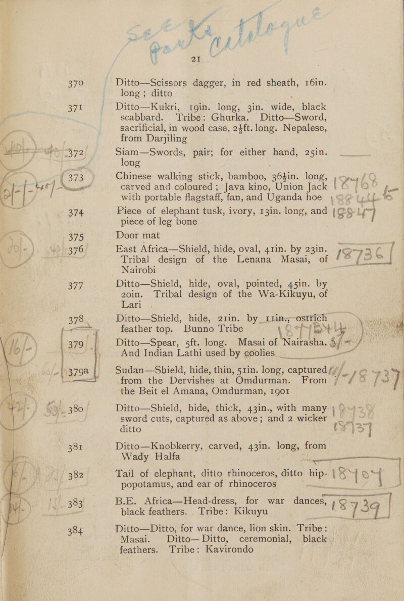 f Faience Pty, 379 371 374 375. 376 B74 Py £ + i \ my ‘i er 2 a i 8 Ca Ditto—Scissors dagger, in red sheath, r6in. long; ditto | ; Ditto—Kukri, rgin. long, 3in. wide, black scabbard. Tribe: Ghurka. Ditto—Sword, sacrificial, in wood case, 2$ft. long. Nepalese, Siam—Swords, pair; for either hand, 25in. long Chinese walking stick, bamboo, aOR: long, » cpm /'Q carved and coloured ; Java kino, Union Jack | ® | O°” with portable flagstaff, fan, and Uganda hoe 4 /» ee Piece of elephant tusk, ivory, 13in. long, and ISS Su piece of leg bone ne Door mat East Africa—Shield, hide, oval, 4rin. by ae 1s “ 73¢ : Tribal design of the Lenina Masai, 72&gt; Ditto—Shield, hide, oval, pointed, 45in. by 2oin. Tribal design of the Wa-Kikuyu, of Lari Ditto—Shield, hide, 21in. by_1tin.; ostrich if feather top. Bunno Tribe woh or BW a Ditto—Spear, sft. long. Masai of Naitaees, st “ yp i And Indian Lathi used by goolies Sudan—Shield, hide, thin, 51in. long, caneuredggy per mp from the Dervishes at Omdurman. From jo “) oe the Beit el Amana, Omdurman, 1go1 Ditto—Shield, hide, thick, 43in., with many } { «1! sword cuts, captured as above; and 2 wicker = fd ditto S) aT Ditto—Knobkerry, carved, 43in. long, from Wady Halfa : Tail of elephant, ditto rhinoceros, ditto hip- 18 7] me popotamus, and ear of rhinoceros ae ae open Wes, hi Mae Pk r SI meant +7 upaarestaccanuien : B.E. Africa—Head-dress, for war dances, 1S 34 ey black feathers. , Tribe: Kikuyu 7 Ditto—Ditto, for war dance, lion skin. Tribe: Masai. Ditto— Ditto, ceremonial, black.» feathers. Tribe: KR divonde