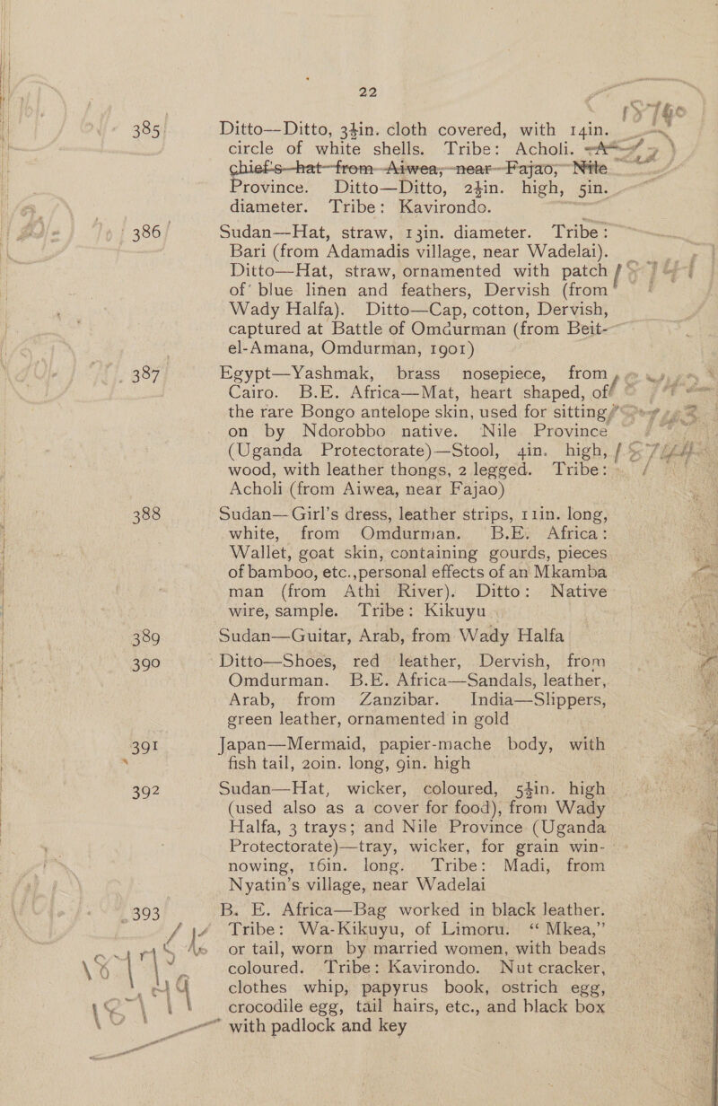385, 386° +1 387 388 389 390 394 oon 2 2 ; | on, | | ; ry’ The p a’ 4% Ditto— Ditto, 34in. cloth covered, with I4in. | circle of whe shells. Tribe: Acholi. &lt;4 Ee Sei Atwea;—near~Fajao, “Nite _ Zit } rovince. Ditto — Ditto, 24in. high, 5in. diameter. Tribe: Kavirondo. Sudan—Hat, straw, 13in. diameter. Tribe: Bari (from Adamadis village, near Wadelai). Ditto—Hat, straw, ornamented with patch © of’ blue linen and feathers, Dervish (from Wady Halfa). Ditto—Cap, cotton, Der dish, captured at Battle of Omaurman (from Beit-- el-Amana, Omdurman, Igor) Egypt—Yashmak, brass nosepiece, from, « Cairo. B.E. Africa—Mat, heart shaped, off ~ ed the rare Bongo antelope skin, used for sitting//Sey zy on. by Ndorobbo native. Nile. Province -. #77 (Uganda Protectorate)—Stool, ain. high, 1s ied wood, with leather thongs, 2 legged, Tribe: » / Acholi (from Aiwea, near Fajao) Sudan—Girl’s dress, leather strips, 11in. long, white, from Omdurman. §B.E. Africa: Wallet, goat skin, containing gourds, pieces of bamboo, etc.,personal effects of an Mkamba man (from Athi River). Ditto: Native wire, sample. Tribe: Kikuyu . Sudan—Guitar, Arab, from Wady Halfa Ditto—Shoes, red leather, Dervish, from Omdurman. B.E. Africa—Sandals, leather, Arab, from Zanzibar. India—Slippers, green leather, ornamented in gold fish tail, 2o0in. long, gin. high Sudan—Hat, wicker, coloured, 54in. high (used also as a cover for food), from Wady Halfa, 3 trays; and Nile Province (Uganda Protectorate)—tray, wicker, for grain win- nowing, 16in. long. Tribe: Madi, from Nyatin’s village, near Wadelai Tribe: Wa-Kikuyu, of Limoru. ‘ Mkea,” or tail, worn by married women, with beads coloured. -Tribe: Kavirondo. Nut cracker, clothes whip, papyrus book, ostrich egg,