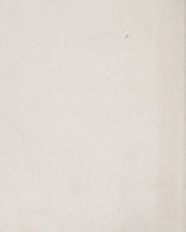 digitised image 2