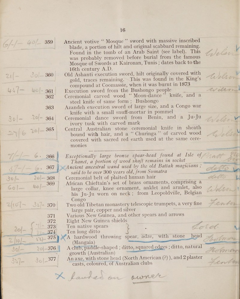 359 Ancient votive ‘‘ Mosque ’”’ sword with massive inscribed blade, a portion of hilt and original scabbard remaining. Found in the tomb of an Arab Saint (see label). This was probably removed before burial from the famous Mosque of Swords at Kaironan, Tunis ; dates back to the 16th century A.D. 360 Oid Ashanti execution sword, hilt originally covered with , gold, traces remaining. .This was found in the King’s ~ “¢-#¢s¢ compound at Coomassie, when it was burnt in 1873 361 Execution sword from the Bushongo people ee 362 Ceremonial carved wood “ Moon-dance”’ knife, and a steel knife of same form ; Bushongo 363 Azandeh execution sword of large size, and a Congo war ; knife with a small snuff-mortar in pommel 364 Ceremonial dance sword from Benin, and a Ju-Ju _ivory tusk with carved mark 365 Central Australian stone ceremonial knife in sheath +) bound with hair, and a “ Churinga’”’ of carved wood covered with sacred red earth used at the same cere- monies  ‘366 i Exceptionally large bronze spear-head found at Isle of “ Thanet, a portion of wood shaft remains in socket 7 a 367 9 x Ancient ancestral wand used by the old Battak magicians ; _ serie eatin said to be over 300 years old, from Sumatra —— 368 Ceremonial belt of plaited human hair 2ft6 369 = African Chieftain’s set of brass ornaments, comprising a large collar, knee ornament, anklet and armlet, also his Ju-Ju worn on neck; from Leopoldville, Belgian Congo ; 370| Two old Tibetan monaster y telescopic trumpets, avery fine -—“Car€¢ | large pair, copper and silver 371 Various New Guinea, and other spears and arrows 372 Fight New Guinea shields 2 373 Ten native spears d : D> ee as ee et Ten long ditto s “Ss 3 gs 375 9 P 4 A hardwood throwing spear, adZe, with stone he qd bencganit (Mangaia) | -376 if Acer ‘paddle-shaped ; ditto, ee ges ; ditto, natural cameras ain | growth (Australian) . 3,,{.377, Anaxe, with stone head (North American (?) ), and 2 plaster ’ casts, coloured, of Australian clubs eg ty 4 ¥} 5 ” le DRI