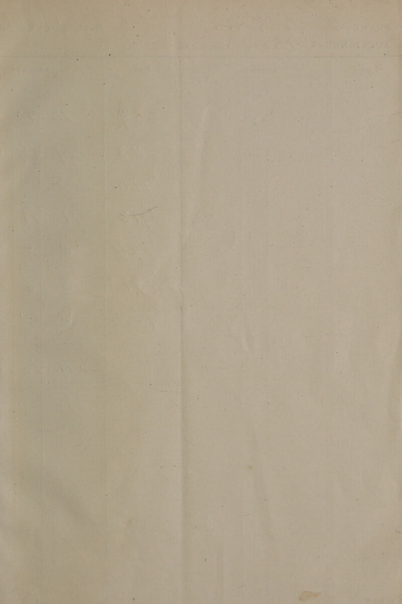  31 NP Ge ne? 3  re aed hts 00S Gece hed, denis oy 4 oe s + - ye pane  - ; z i a. ale Gry “sae ee : ae = ~ - = « sy . 2 