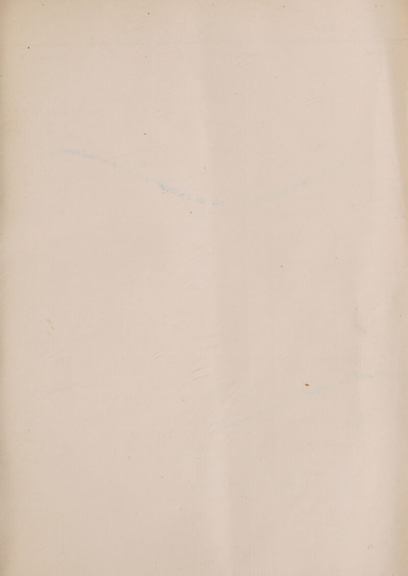 | . Px? a f nae, an i m %; ere our et: a eS Pork ty ~. ec _ 7 4 ee gree ae ee ~ # 7 - - — Cae : ‘ 4 re : =e y”, — ‘* a P oa. P 7 7 - , pei te ' » 