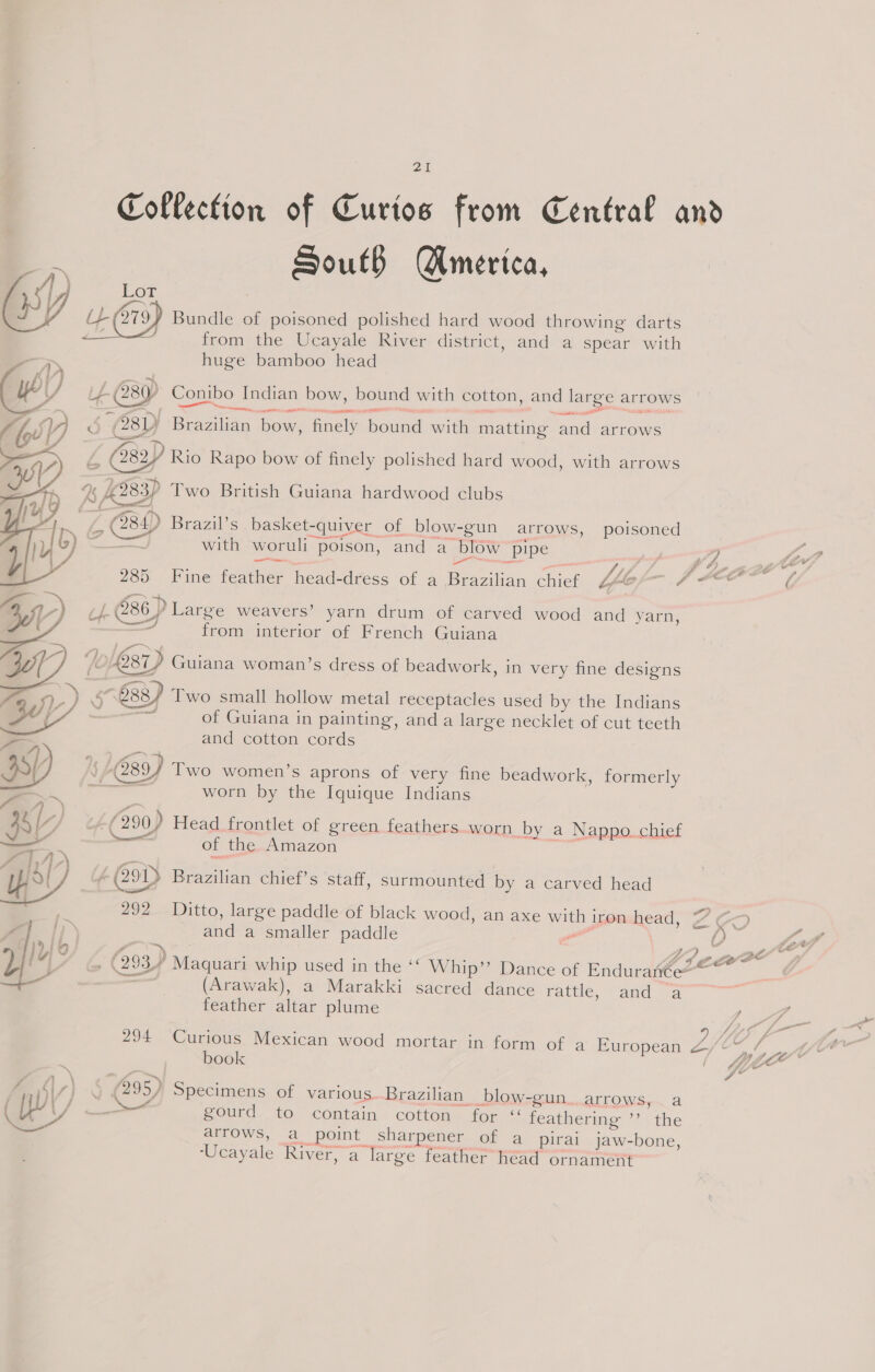      21 Collection of Curios from Central and South America, from the Ucayale River district, and a spear with huge bamboo head LL 280) Conibo Indian bow, bound with cotton, and large arrows jb 281) Brazilian bow, finely bound with matting and arrows LZ Cy Rio Rapo bow of finely polished hard wood, with arrows C3) Brazil’s basket-quiver of blow-gun arrows, poisoned with woruli poison, and a blow pipe St lw —_ Se eee C 285. Fine feather head-dress of a Brazilian chief be | S2en -2@86 Large weavers’ yarn drum of carved wood and yarn, ofr SH i : : : . from interior of French Guiana j 7a ‘ ° . . fO LQ87) Guiana woman’s dress of beadwork, in very fine designs 7 tat  of Guiana in painting, and a large necklét of cut teeth and cotton cords G89) Two women’s aprons of very fine beadwork, formerly a worn by the Iquique Indians 6 /290) (290 Head frontlet of green feathers. worn by a Nappo. chief of thig Amazon 292 Ditto, large paddle of black wood, an axe with iron head, v4 oD and a smaller paddle | by f m4, fe W) 2a f )) . . e 5 Oa EL eS » (2934 Maquari whip used in the ‘ Whip” Dance of Enduranéem 3 (Arawak), a Marakki sacred dance rattle, “and “a feather altar plume Mee 294 Curious Mexican wood mortar in form of a European ea os us “2 book vy, HOC $ 295) Specimens of various. Brazilian blow-gun. arrows, a _—_— gourd to contain cotton for ‘“ feathering ’’ the arrows, a point sharpener of a_pirai jaw-bone, ‘Ucayale River, a large feather head ornament