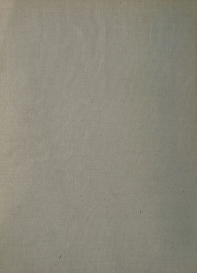        2 . - od . Fi a nr ne Ts ST oS ~~ $e &gt; —_— “and Be. . M Te a Ai gt scant SS? * pr eo S _— ; 2 - one . : ig pay OE Set b k rs ; ts a ee ela e “ bbl Sottote Ae 4 2 - eee ee see maw ee . : : a ‘ - . - a ee a Rs ae » « a 3 yy : aT are et Er ct &gt; : - B ; &gt; ce * * as a ; - &amp; se , A249 . ’ &amp; - cy 2. * &gt; ; ’ Lai pe . = x - wee Dept Hurt &gt; 2 &lt;* ad 5 et hee a Ore &lt; &gt; ¥ &gt; s ~ ~ obs . &gt; er aod a pee - iy oes . ¥ Fs ‘ a y ra hm « . Z : “ ¥ : - . “+ - Ges; § * ye : we oy eee wae ae ~ nd : i rs refer Bie B+ « «* ” on Lier { “s ae &lt;&gt; v a ~ a ae ” “e = x ime i - ? z rl - ; ; Coe - F ~ 7 4 é % ” , we te&gt; Fa? ihe * . , &gt; &lt;4 - Af oad ai an we cg ate = &gt; 4 * s :  ~~ * a. pag &gt; _ ré - - ; ;  + Porm my . “ how . : 4 2 a0 “ . _ as ~ e ‘sd + &gt; = ’ ~ &gt; a — ‘ a - \ . 4 - ; ~ +4, * - yA “ ; - - . - kg 4 4 re «a 4 e