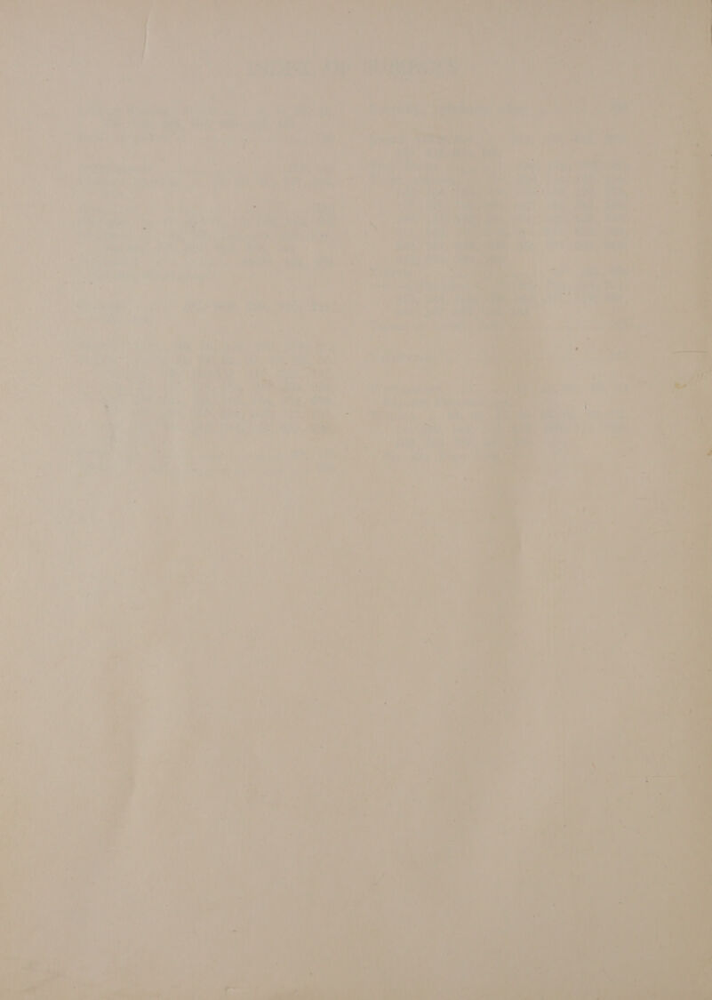 ae ce ie: iin a Mes > ee a elie) ¥ Li ' 