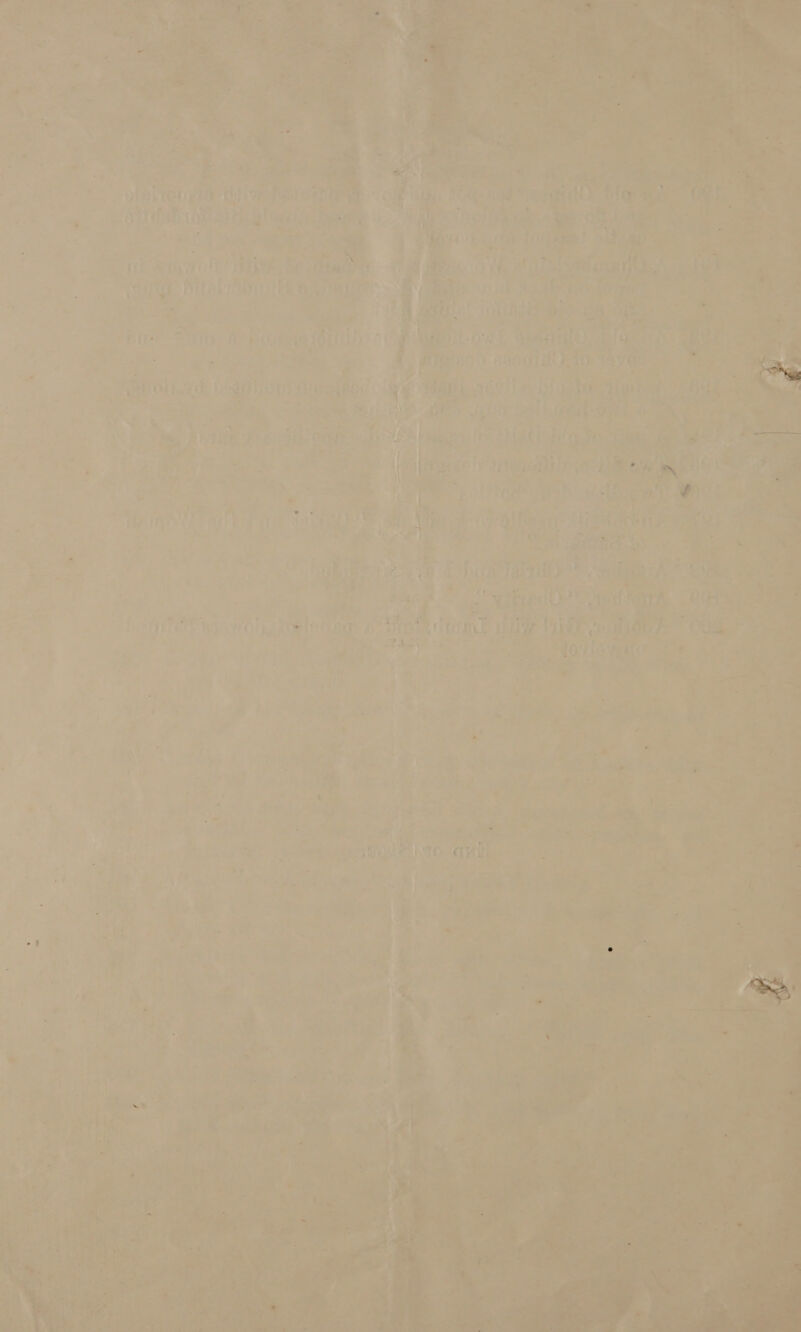         a lees POG <a a a a > * j Sehhy ae. .   i ‘ . 4 \ ‘ . i . el inten ys tine . Rebs i Ee ares Toate        2 eae § ae ae i - be . a ta B2 ar a “dis ! o ‘a } a ier 2 > pt tine te ae 1 ot iy stg Ms ati CRT ab sth ink, ie ae — a 5 iS am es : 2 : a oH walang ig Se ne = _ fn Vl s 4 SF ie : + ‘ ar ev a 5 rilhsr™ ai tf bie ia (Orth) Bit-at 9 eAFELU 5 Bi ae: 0 ‘ al? =, , : =e « ‘7 je , TA} ee pee ee r . Pale ) S86 bith 40 Aver a “ ; : ‘ ; al : PRM otek SRT Sts MieteS | ia bes Biggie gas ia : ae Sis) NS es ahh es eee ibe ‘ a % 2 tied =A a vat rat ¥ Ma, 8 iE Foie OE ud baths (rina Titi f . ae 4 a P pa 7 i - = + as ey On nT As sts Alt) ar a ; bo Se an eae an is * Fa : 7 A ee FAB) 7+ hel hoe ; we $t f > an fh? ‘he i } % ‘ 4 | { vis aie / nsRighiting : rs La ¢ ~ , Lhe Paley Bites. 2 - a Rid) | aba ce hice Jai rs fw 7 Kh  scp” . Ybed fe ith iChat bao WOleatmte naar Hep fit a. ny biden 1 ate pie iovinmtc Pa 