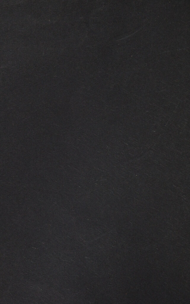 digitised image 2
