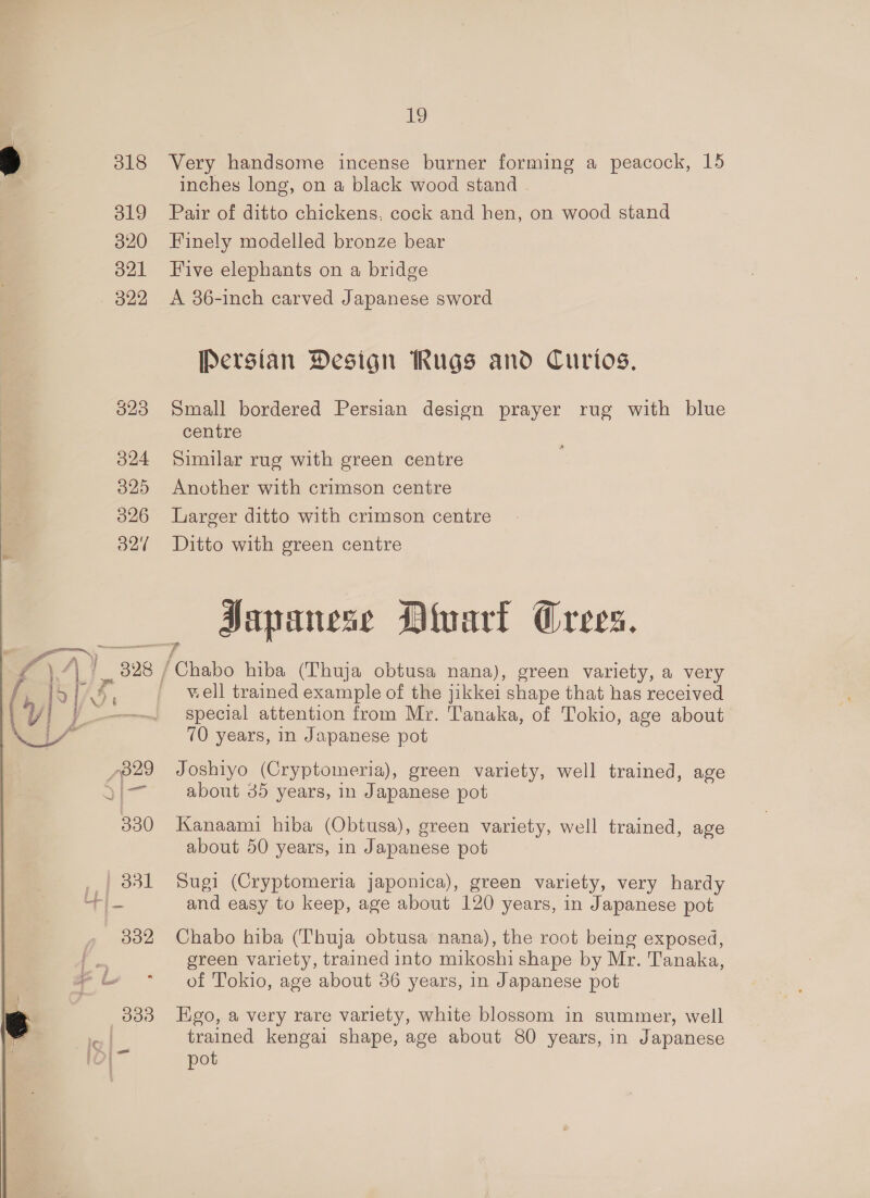 318 319 320 21 — 822 323 O24 325 326 O27 i Very handsome incense burner forming a peacock, 15 inches long, on a black wood stand . Pair of ditto chickens, cock and hen, on wood stand Finely modelled bronze bear Five elephants on a bridge A 36-inch carved Japanese sword Persian Design Rugs and Curios, Small bordered Persian design prayer rug with blue centre Similar rug with green centre Another with crimson centre Larger ditto with crimson centre Ditto with green centre Japanese Divart Crees. well trained example of the jikkei shape that has received special attention from Mr. Tanaka, of Tokio, age about 70 years, in Japanese pot Joshiyo (Cryptomeria), green variety, well trained, age about 35 years, in Japanese pot Kanaami hiba (Obtusa), green variety, well trained, age about 50 years, in Japanese pot Sugi (Cryptomeria Japonica), green variety, very hardy and easy tu keep, age about 120 years, in Japanese pot Chabo hiba (Thuja obtusa nana), the rcot being exposed, green variety, trained into mikoshi shape by Mr. Tanaka, of Tokio, age about 36 years, in Japanese pot Ego, a very rare variety, white blossom in summer, well trained kengai shape, age about 80 years, in Japanese pot