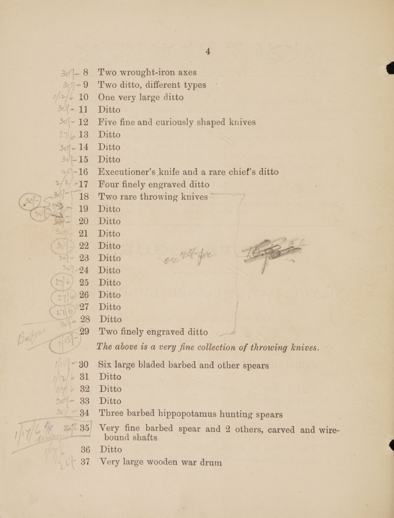 30] 14 30|-15 ~ 30 | 32 ~ 34 36 PO Two wrought-iron axes Two ditto, different types One very large ditto Ditto Five fine and curiously shaped knives Ditto Ditto Ditto Executioner’s knife and a rare chief’s ditto Four finely engraved ditto T'wo rare throwing knives — Ditto | Ditto Ditto Ditto Ditto bt en Ditto | j/ Ditto Ditto Ditto Ditto T'wo finely engraved ditto  The above is a very fine collection of throwing knives. Six large bladed barbed and other spears Ditto Ditto “Ditto Three barbed hippopotamus hunting spears | Very fine barbed spear and 2 others, carved and wire- bound shafts Ditto Very large wooden war drum