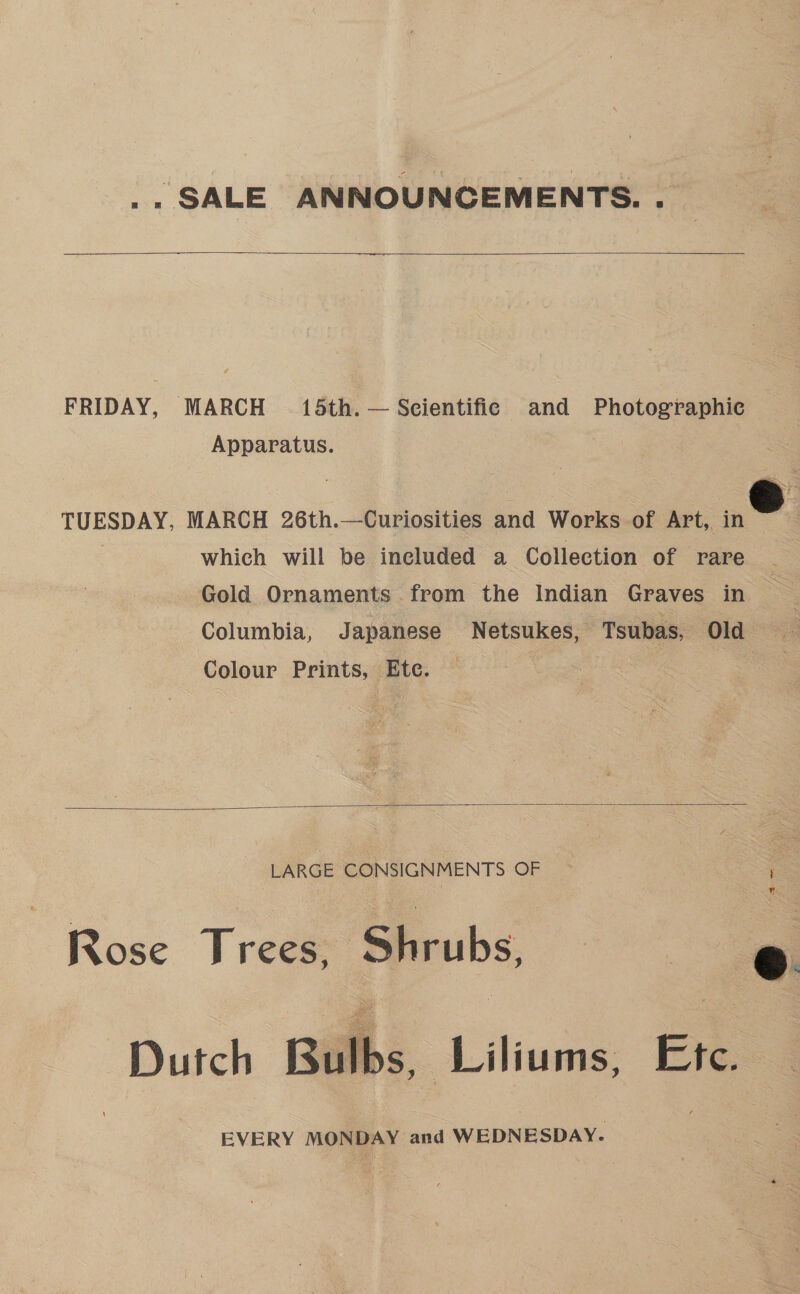 _. SALE ANNOUNCEMENTS. .   FRIDAY, MARCH 15th. — Seientifie and Photographic — Apparatus. TUESDAY. MARCH 26th.—Curiosities and Works of Art, in € | which will be included a Collection of rare Gold Ornaments from the Indian Graves in Columbia, Japanese Netsukes, Tsubas, Old Colour Prints, Ete. |  LARGE CONSIGNMENTS OF — : Rose Trees, Shrubs, i bs, Liliums, Ete  op: U tch Ru n 1 EVERY MONDAY and WEDNESDAY.