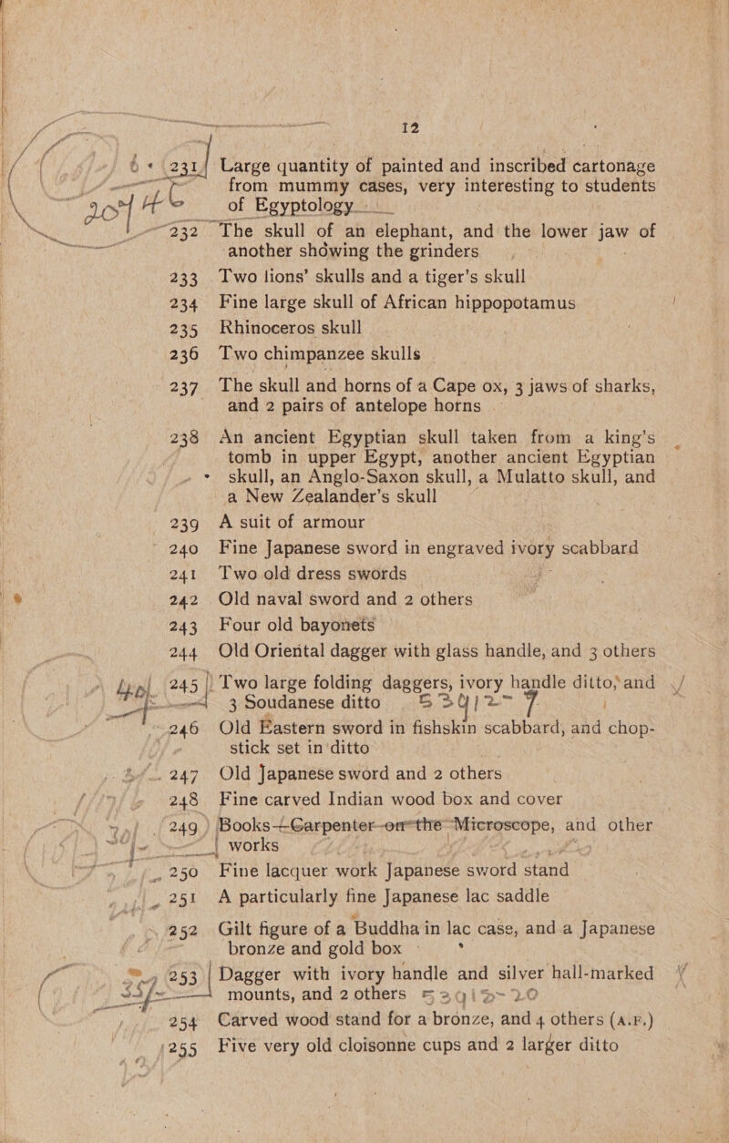 fF i ¢ 12 (231 ae Large vandal of painted ne accried de ttoitase from mummy cases, very interesting to students 2 The skull of an eleohant, and the lower jaw of another showing the grinders 233. Two lions’ skulls and a tiger’s skull 234 Fine large skull of African hippopotamus 235 Rhinoceros skull | 236 Two chimpanzee skulls | 237 The skull and horns of a Cape ox, 3 jaws of sharks, and 2 pairs of antelope horns — 238 An ancient Egyptian skull taken from a king’s tomb in upper Egypt, another ancient Egyptian skull, an Anglo-Saxon skull, a Mulatto skull, and a New Zealander’s skull 239 A suit of armour the}. 241 Two old dress swords 242 Old naval sword and 2 others 243 Four old bayonets 244 Old Oriental dagger with glass handle, and 3 others 245 Two large folding daggers, i peny handle ditto,and . wore 3 Soudanese ditto. &amp;B30)/2 ; stick set in ‘ditto 248 Fine carved Indian wood box and cover f -— + works nr 251 A particularly fine Japanese lac saddle 252 Gilt figure of a Buddha in lac case, anda Japanese bronze and gold box - ‘ aed