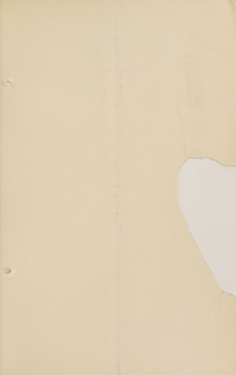         Ve                 _               