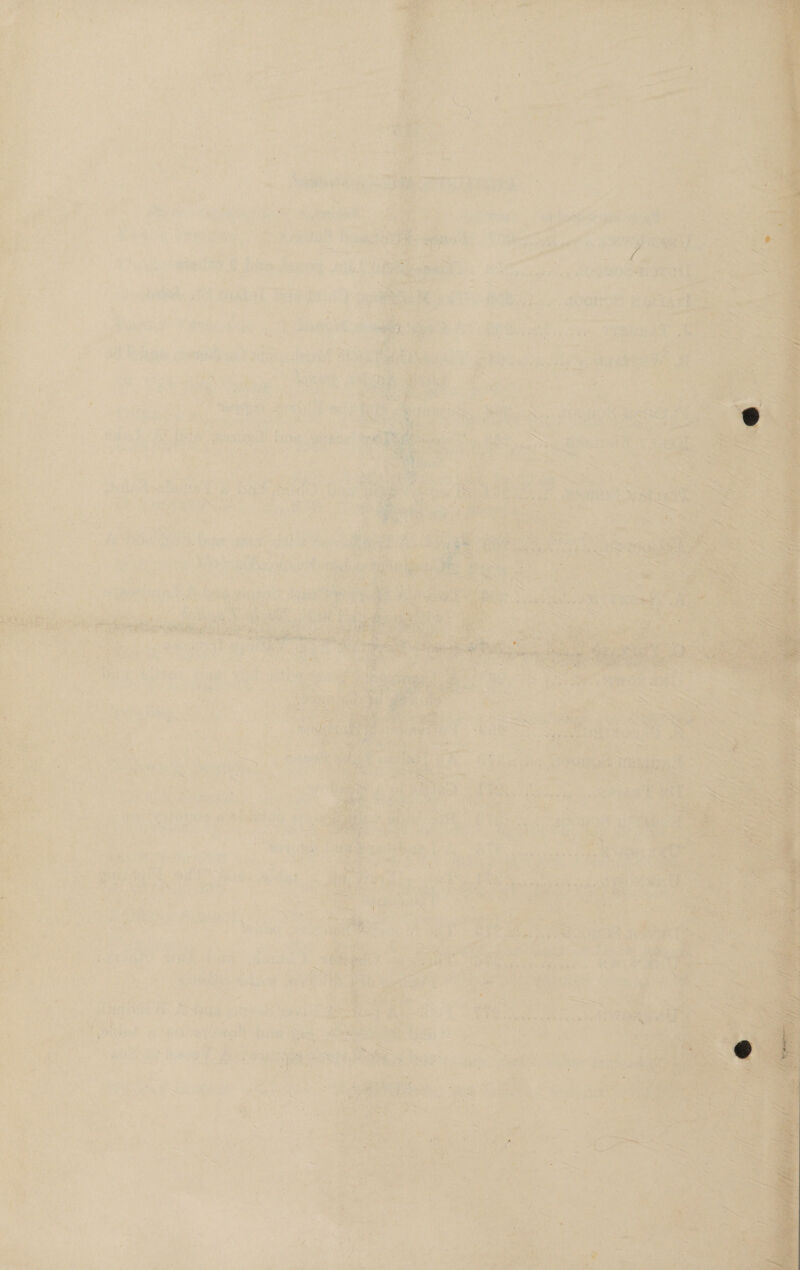      re) i \ 2 r ' ‘ A i 7 hee 1 ¥ : = . ‘ i : : fre - dye mt 1 &lt;A Te L iF t - wh i 1 ‘ € ; : s ty Se EMER = aos ee ‘ 5 Si, o* Mae ye y Ws eo “ : - . ae we ais , F, = 3 an elt ak F; ray *s Da ehh ein otek oe 