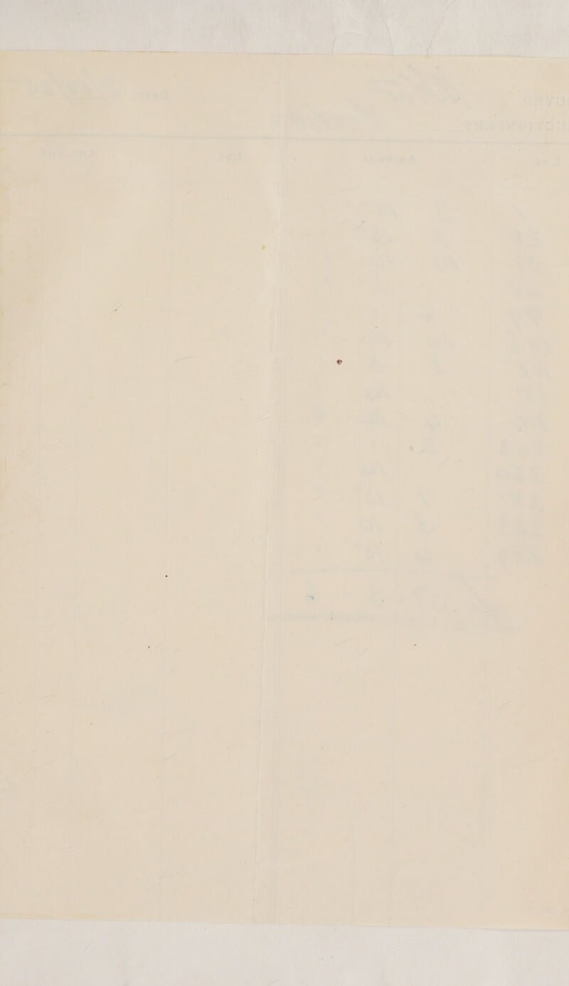  f = \ \\ \ NS : \ ‘ oe =: ba) \ Wy \ Be . 4 \ ’ 2 y ‘ ' ‘ ; \ \ 4 yor \ ‘ a serine ect h __ oeelie = 4 5 cine 2 : are ate Ckrtiewess: i - ad ‘ @ oo madd Ye sy, - ee “¢ ‘\. .  