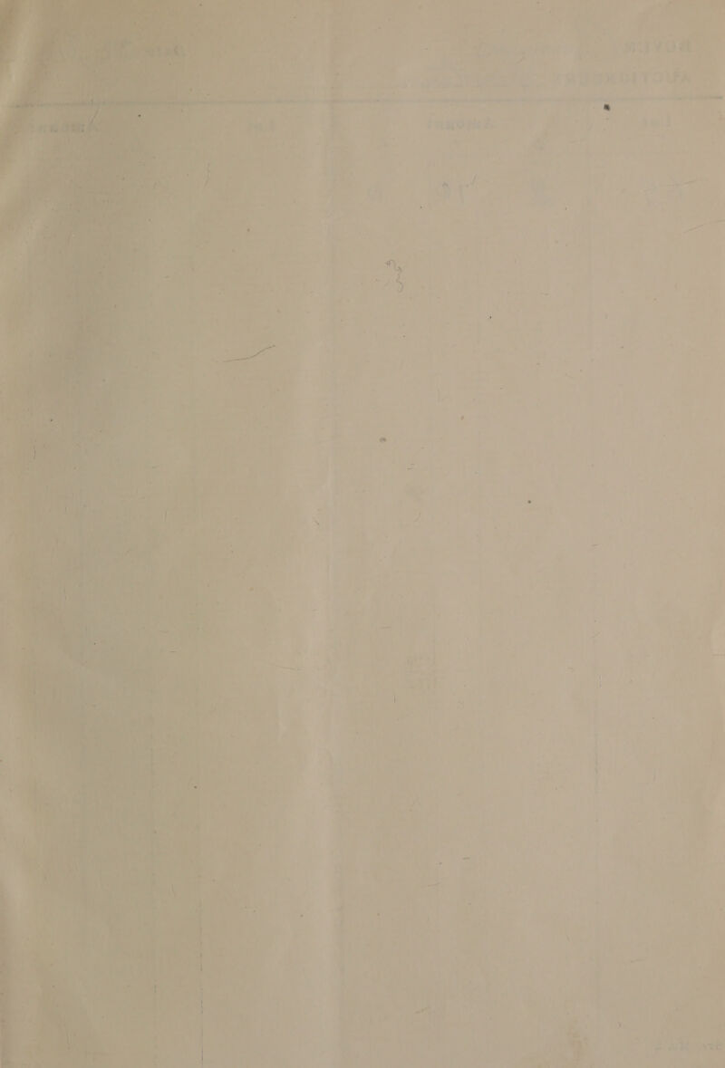     ie: ee ae ee ‘- on worms, a - »