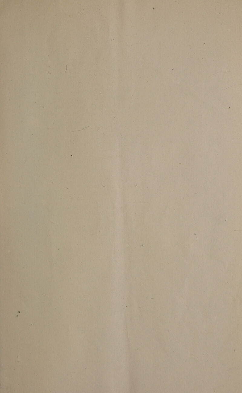   gg Las mac at v wo (~ ‘Sd   i 4 i a