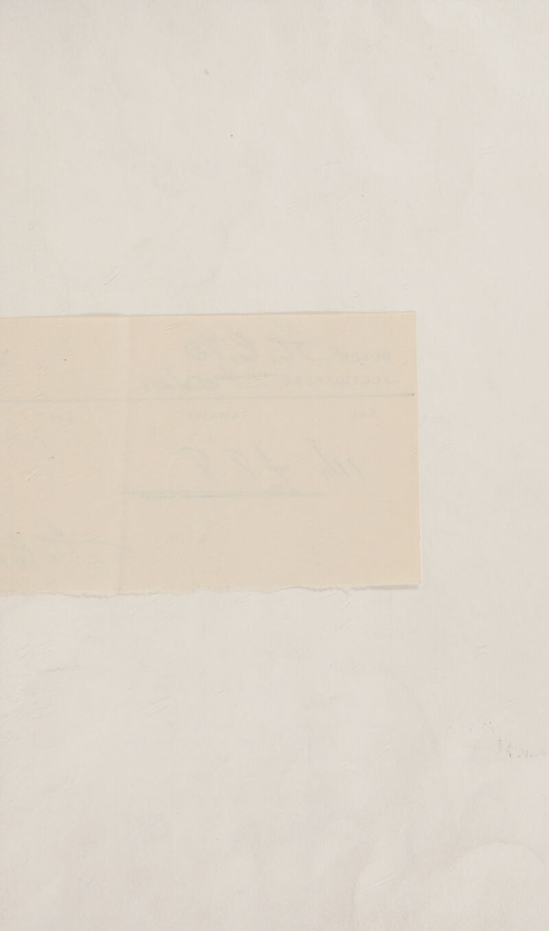       ”     Z a 4 ees ‘ ” ae ‘ is ‘ y 4 