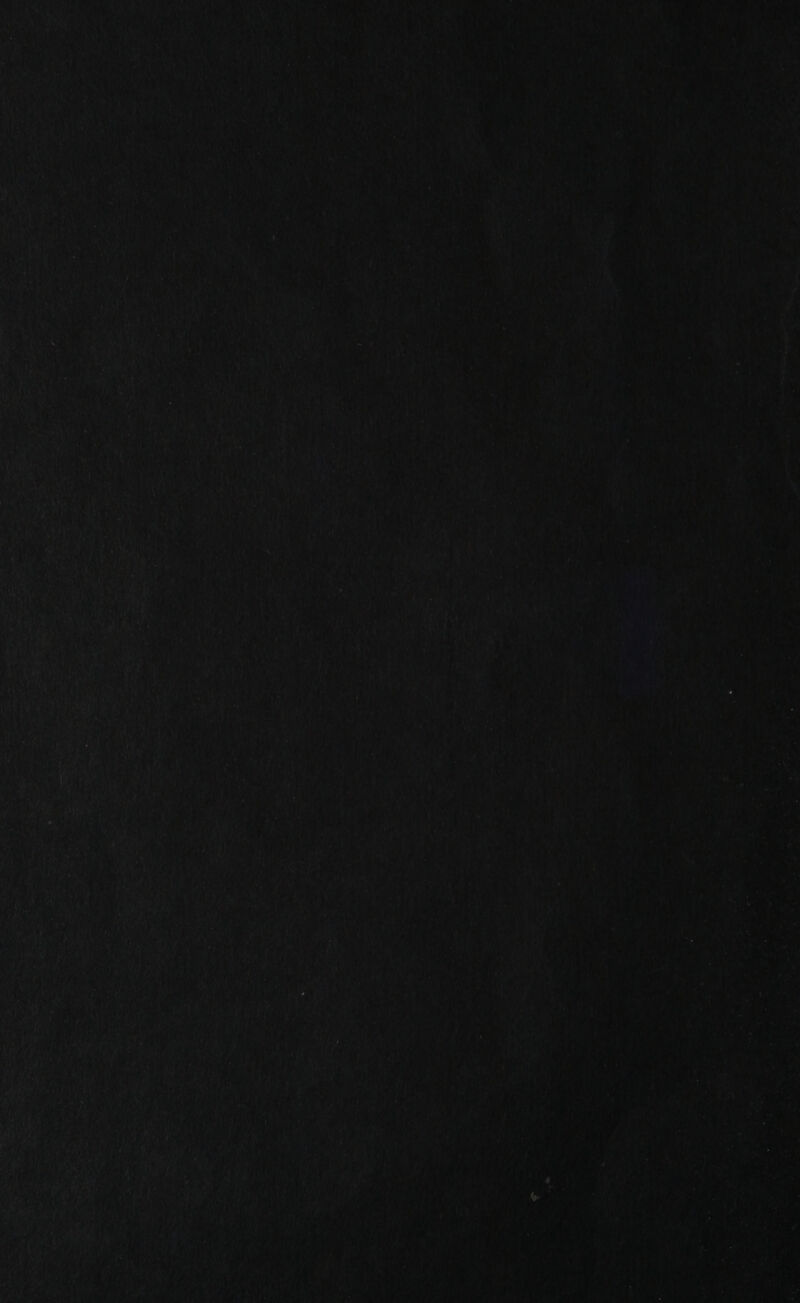      i Amun Bt) asta   ‘a Fs > ne JG rote * if he i ce rig 7 “OAs hi Poa