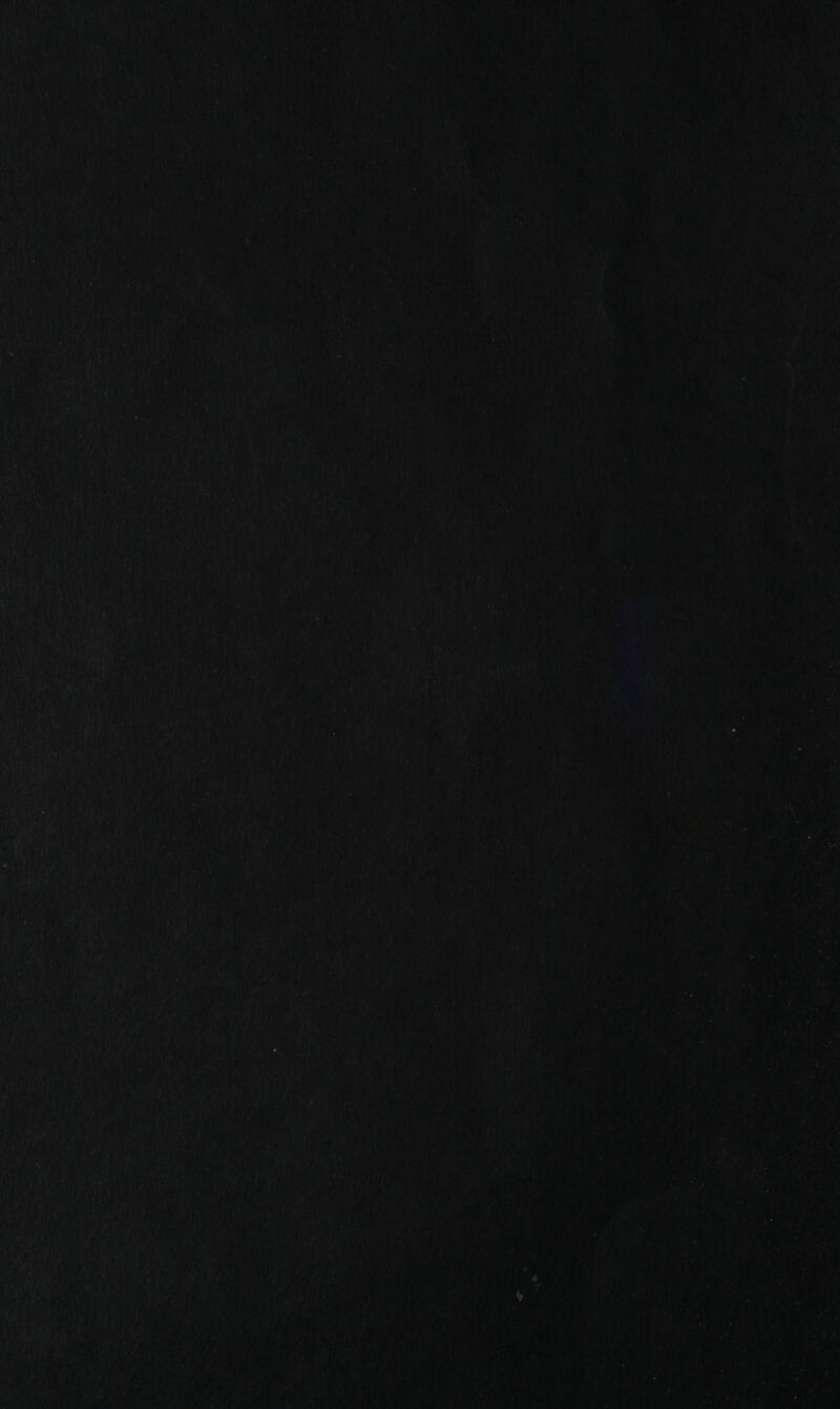 sn» - ia i es / Fibs Enya 