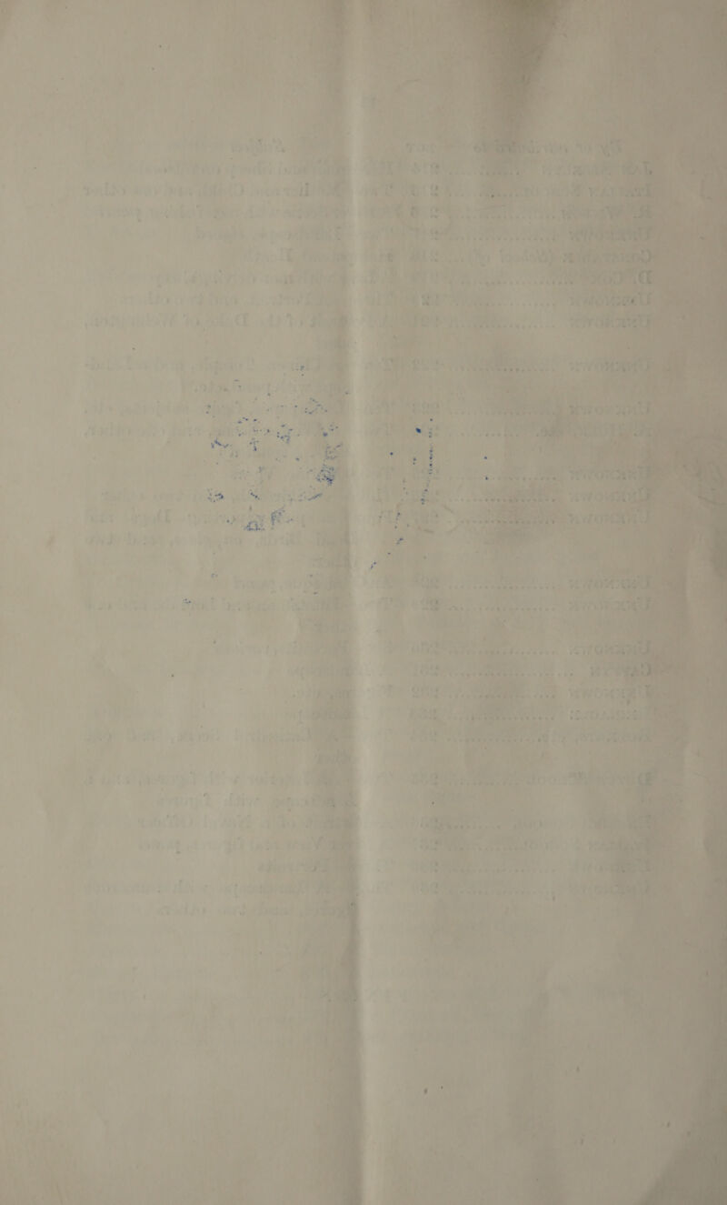 A a ° ° revs rf + >. i tet a | < * © = ts see ec) 7 “4 Oe ae Se Se . ee 4 ee | . ere ean . ¥ Miia 5 . + * ‘. .” ; Te, : is a4 ... - ae a a >: ‘ Sed ees 7 ml . - raf - Leth riper soe ae - «A 4 iu ct wat j rs mi ie, hy ) 7 As 2 44 \ . ‘ . + e } a a “i - ‘ . r ’ . Le 7 a? ar ithe ty: 7  y eet 2 f    oe F 7 é he (jee *