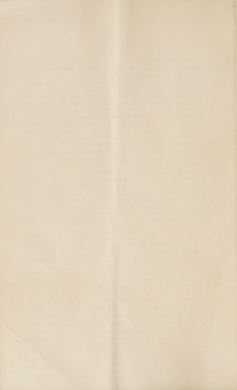   4 ‘4 ee ‘Se. a * : = 4) yas   ean f es oe 1a BA =i EAS | : &gt; i. ae oni a oe: 5 : &gt; ; ff e ea. : | a a ae ‘ = : eee . cigs ae at —— ~ pte: a a — 7 bead M Dain ne f capri mS J Pag : ie ae a a ; _ a a ite ea q : i ohne ra] : 7 aay Veo ies : &gt; cio tah - a ES hs 7 ef wae + - : ~ . ts, ‘ e d —_ E ; ' - a ae i ; ; ; : me its + ; a ety et 3a &gt;’ Ni * ’ at , ~~ a 1 i . :, ‘ - % _ = 7 :: Mi : te y Mu &lt;4 s 2 * r i. a) 